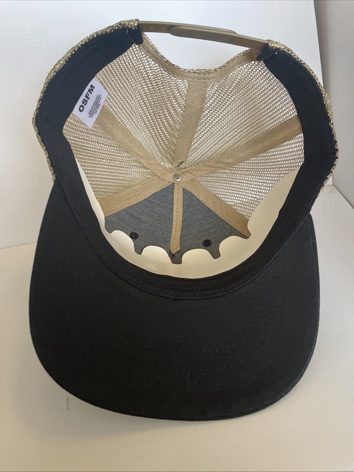 Aquarius Bison With Mountain SnapBack Trucker Cap