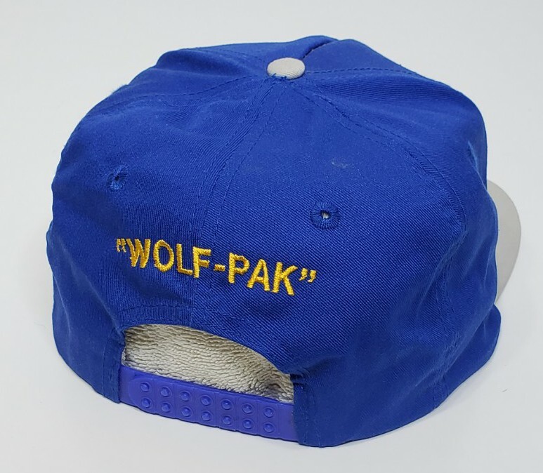 Vintage Wolf-Pak San Sun Terrycloth Head Band Blue Snapback Hat Cap OSFA
