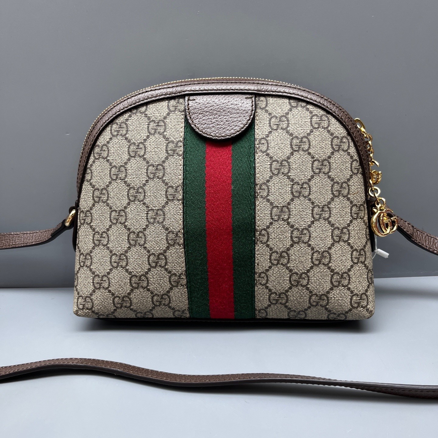 Gucci Pre-Owned Authentic Ophidia Collection Crossbody Bag Monogram Shell