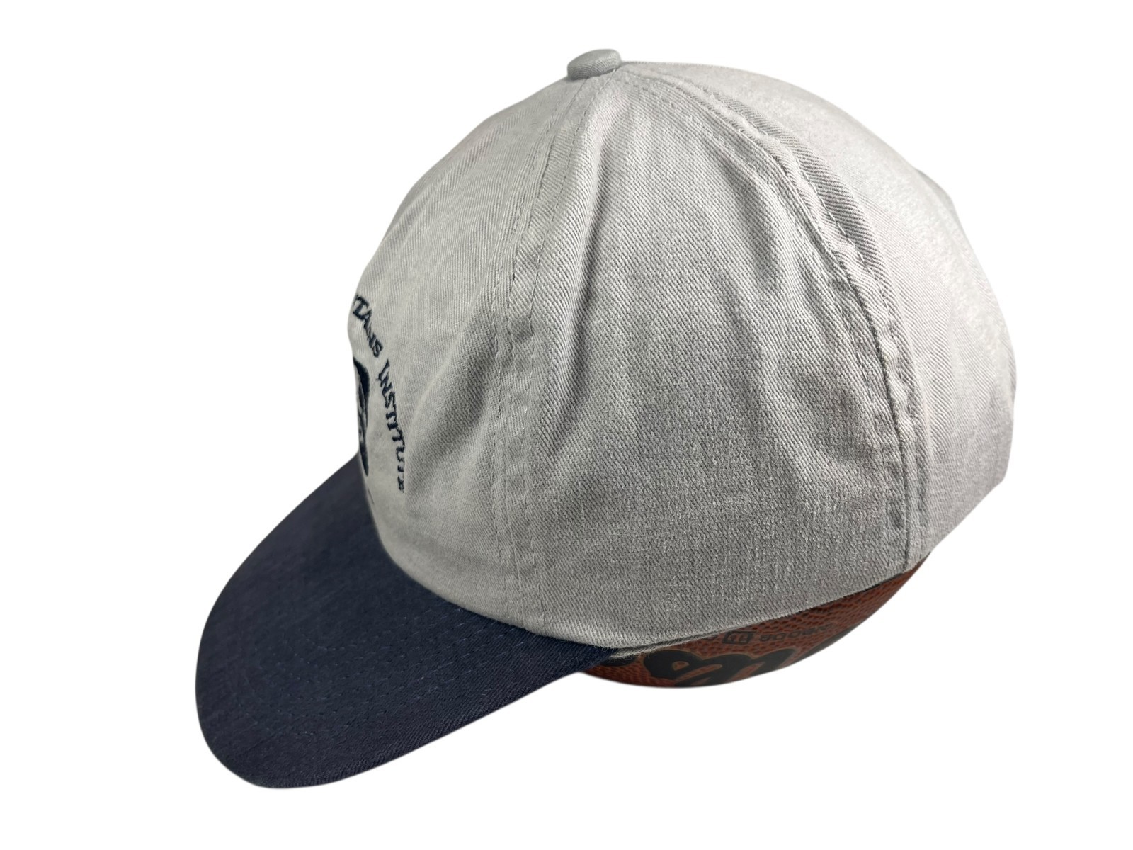 GREAT SMOKY MOUNTAINS INSTITUTE TREMONT Outdoor Nature School HIKE BASEBALL HAT