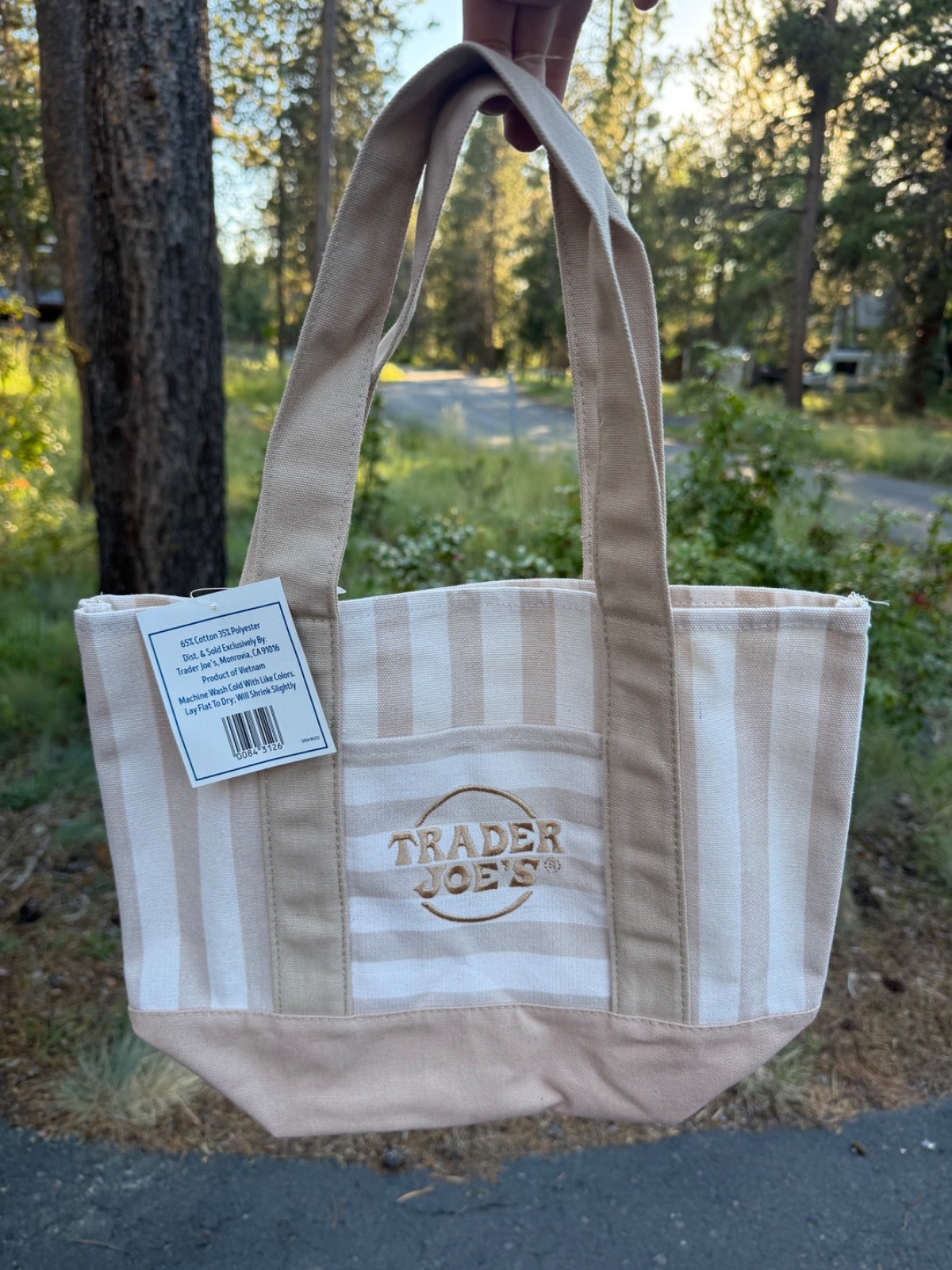 Trader Joes striped mini tote bag