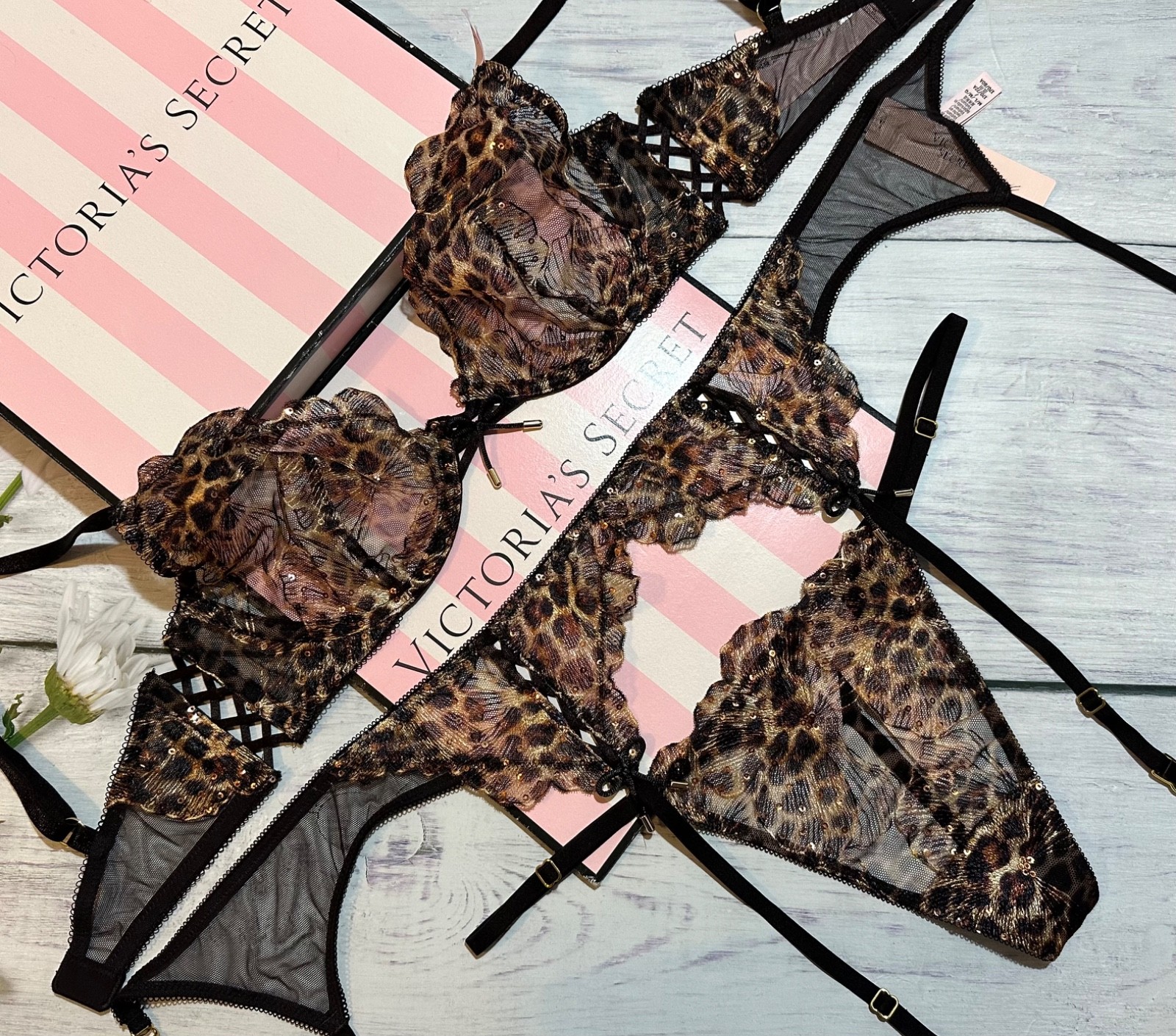 Victoria’s Secret Geo Leo Embroidery Unlined Demi Bra Garter Thong Set