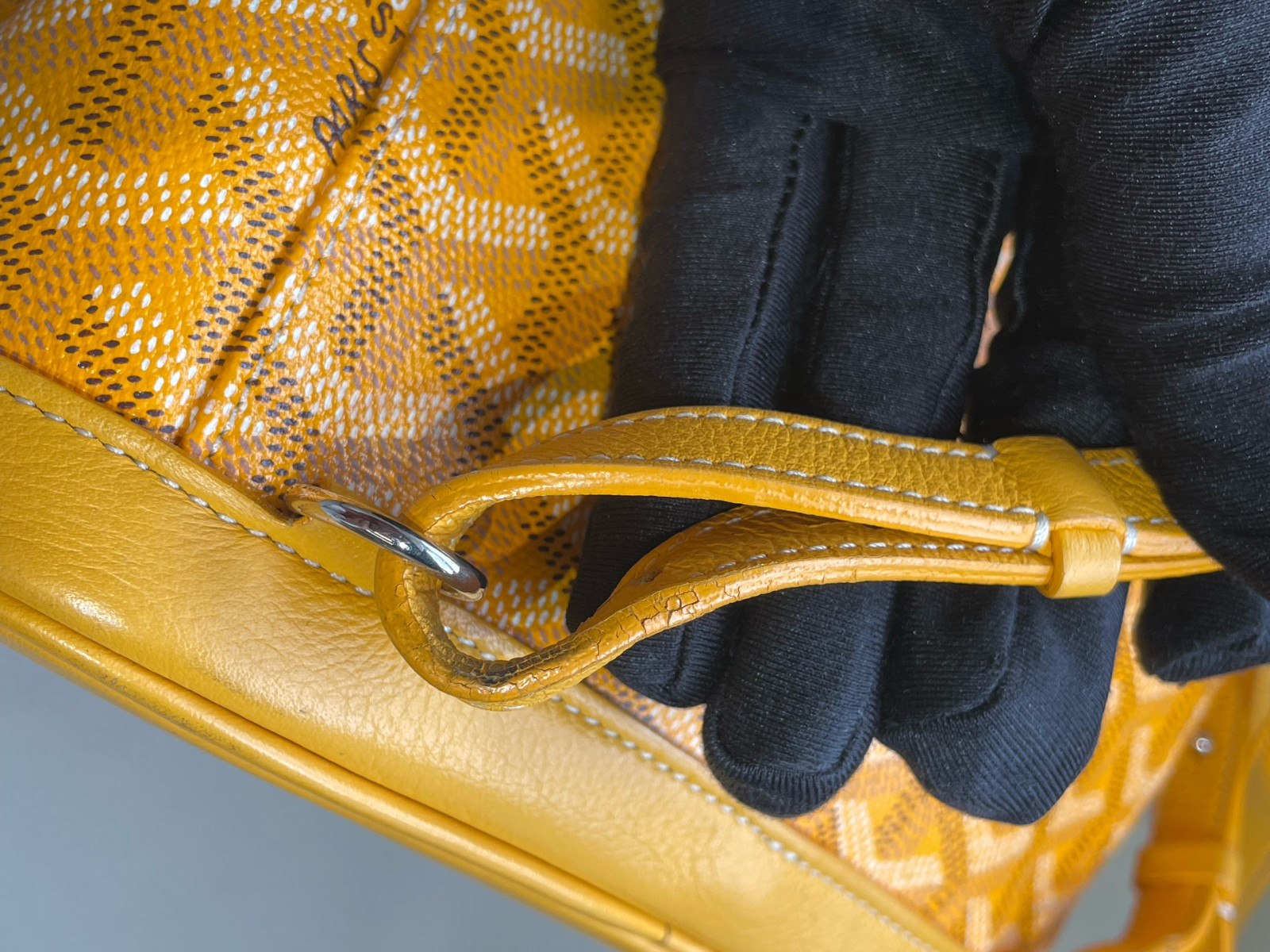 Goyard Alpin Mini Canvas Backpack（ 23×9.5×19 ）cm