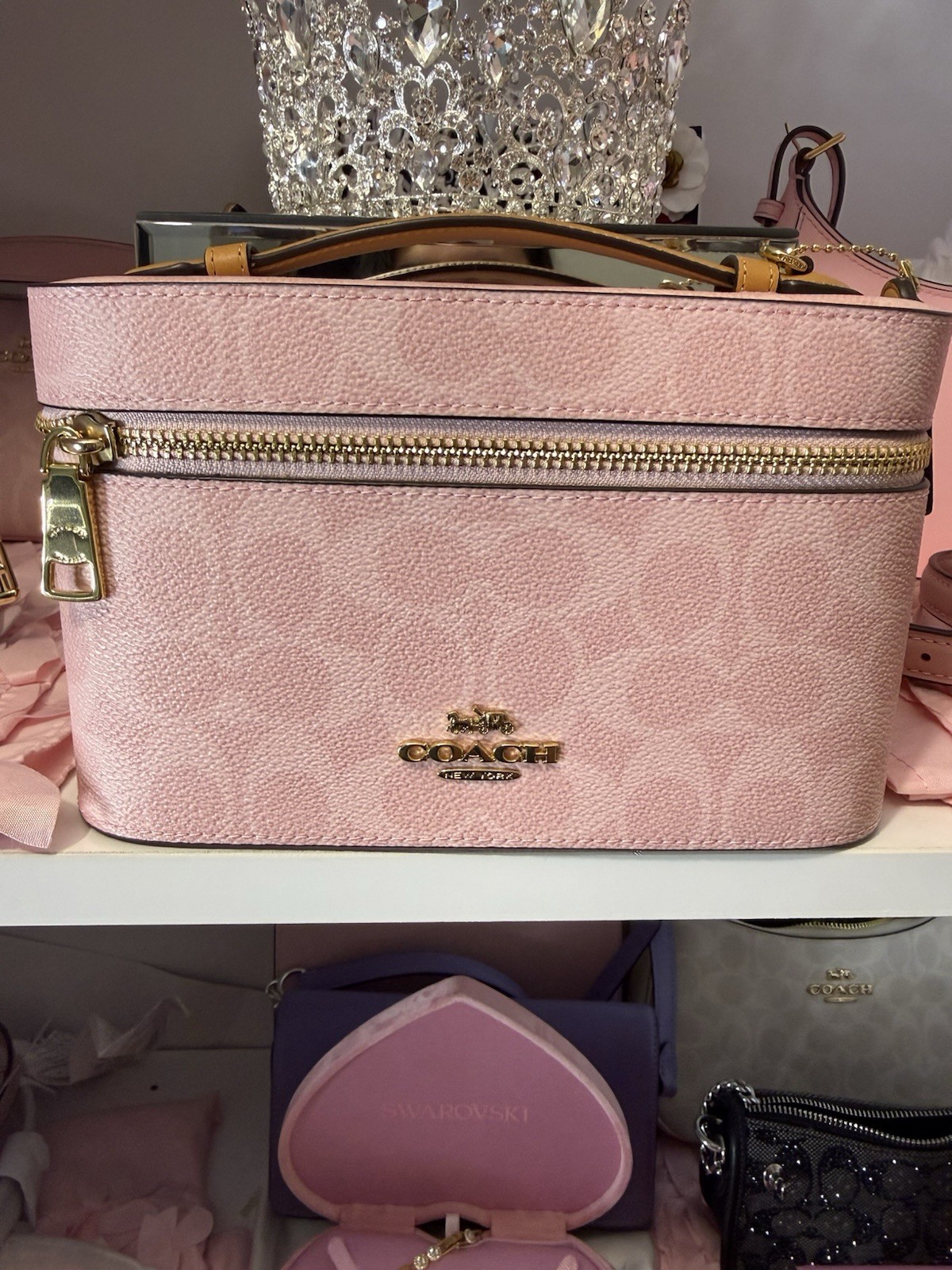 Coach Powder pink Cosmetic Case