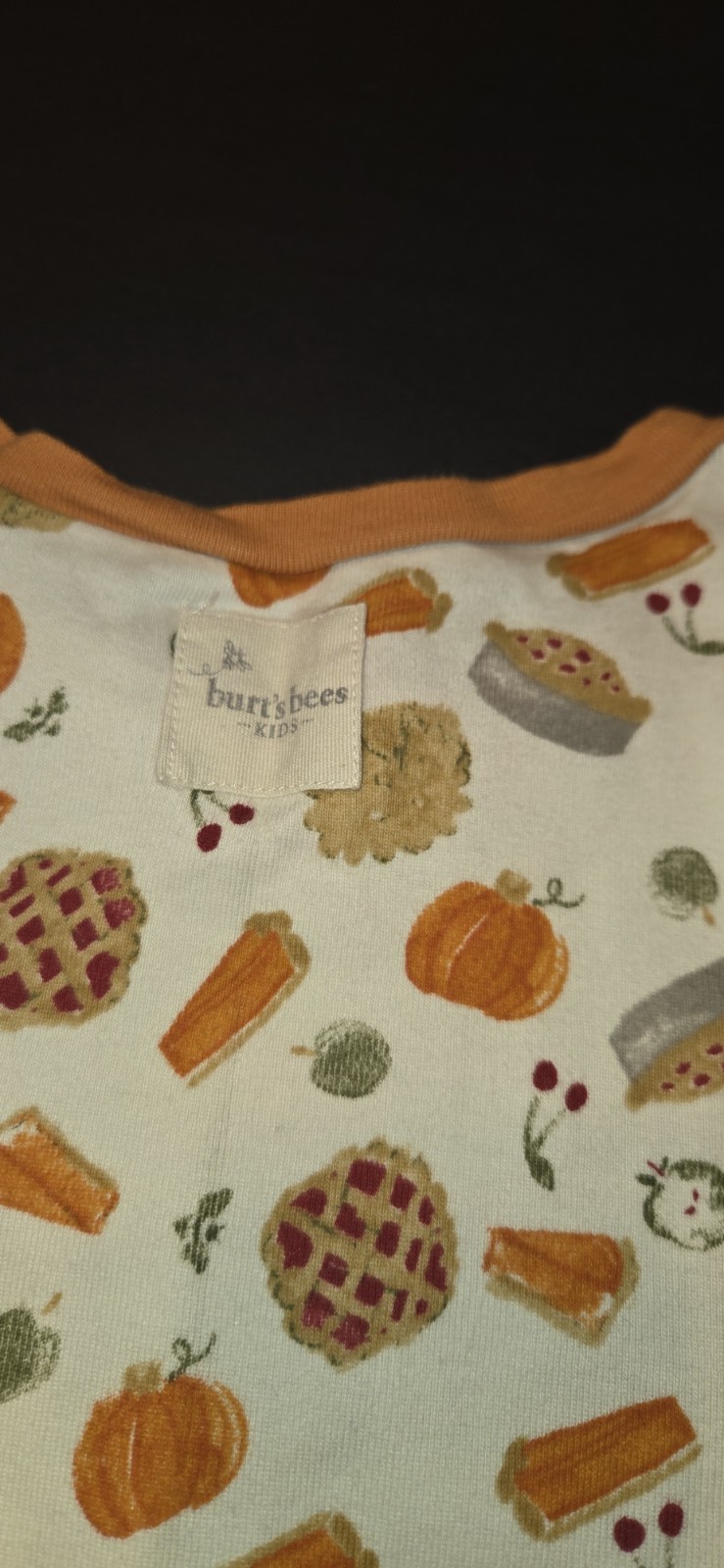 Burt’s Bees Kids Snug Fit Cotton Pajama Set Size 8 Pumpkin Pie Thanksgiving