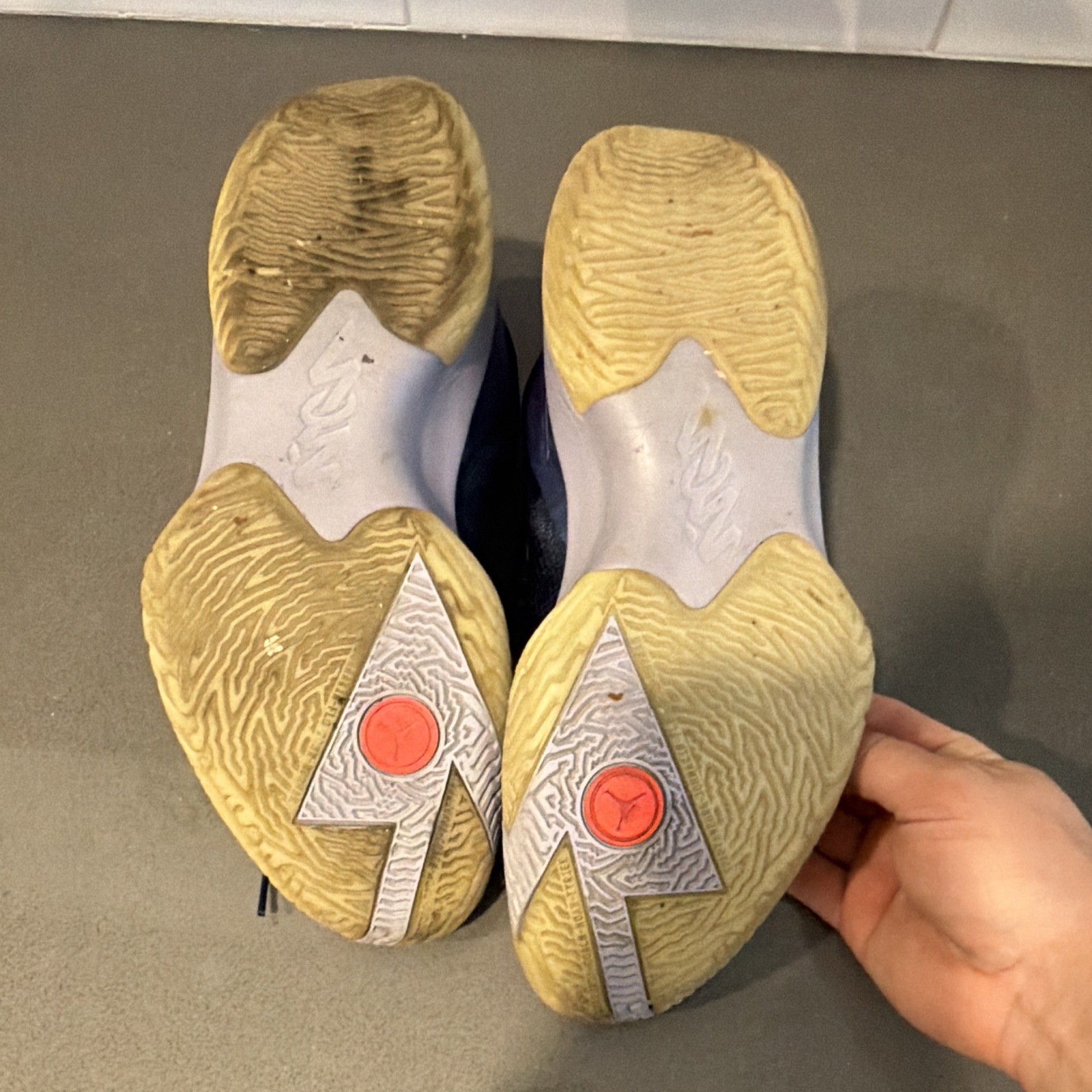 Air Jordan Zion 1 ‘ZNA’