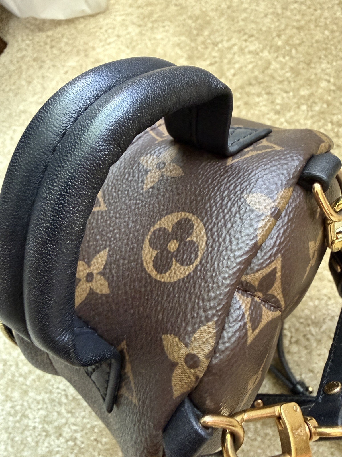 Louis Vuitton Palm Springs Backpack Mini Brown Canvas Monogram