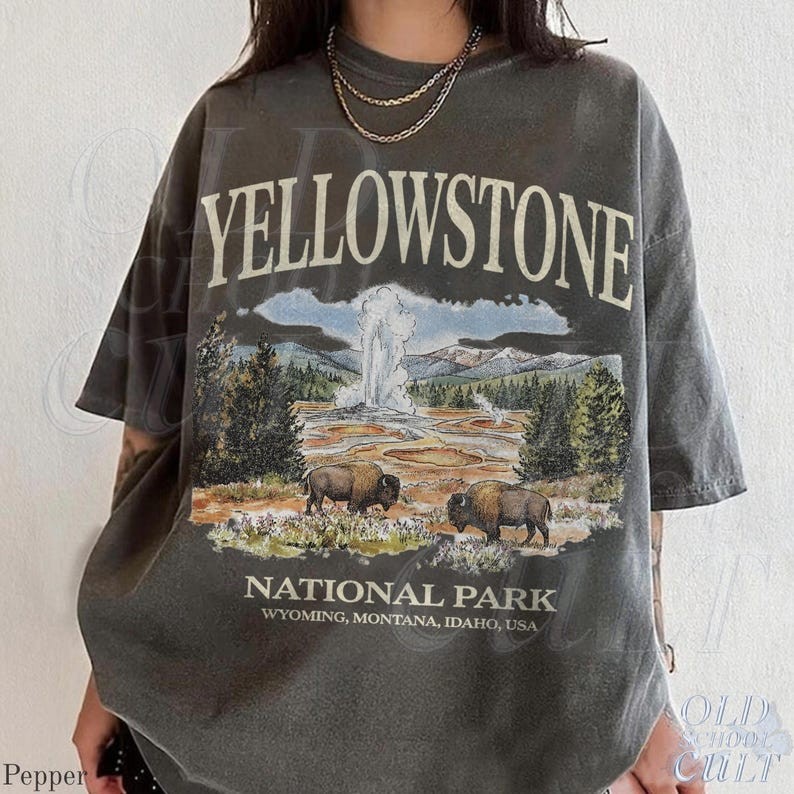 Yellowstone National Park Vintage 90s Graphic T-Shirt Bison Tee