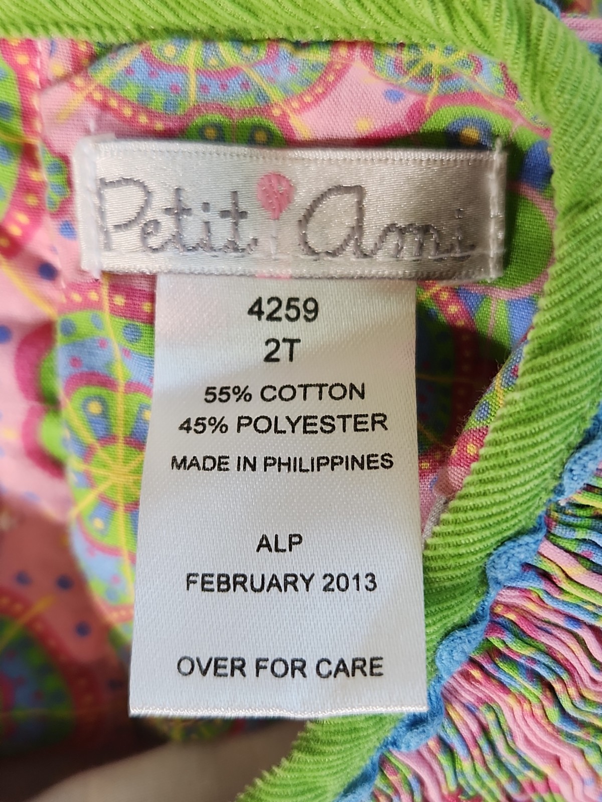 Petit Ami Smocked Green/Pink Multicolor Long Sleeve Dress 2t