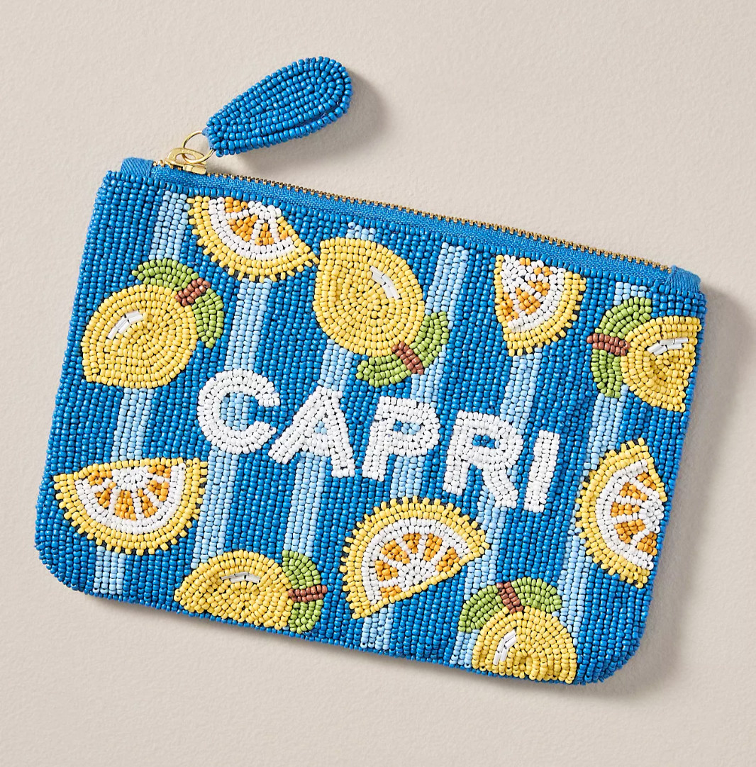 Anthropologie Fiona Capri CITY EDITION Beaded Pouch BAG CASE BLUE STRIPED LEMONS