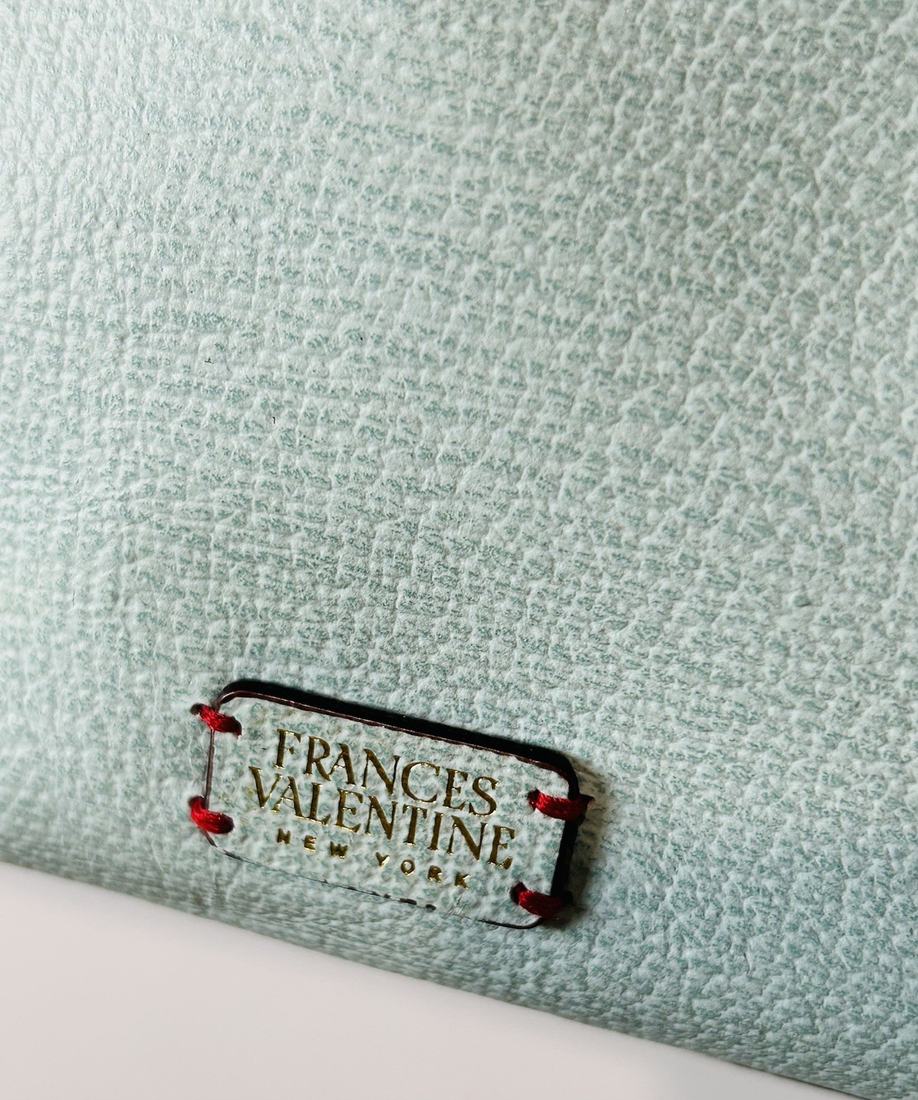Frances Valentine Jackie Frame Light Aqua Boar Skin Handbag or Crossbody Bag