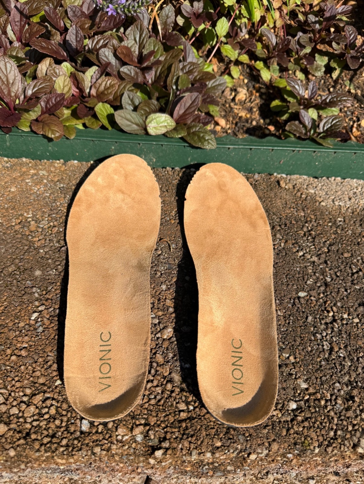 Vionic Ladies Size 9 1/2 Slip On Shoes