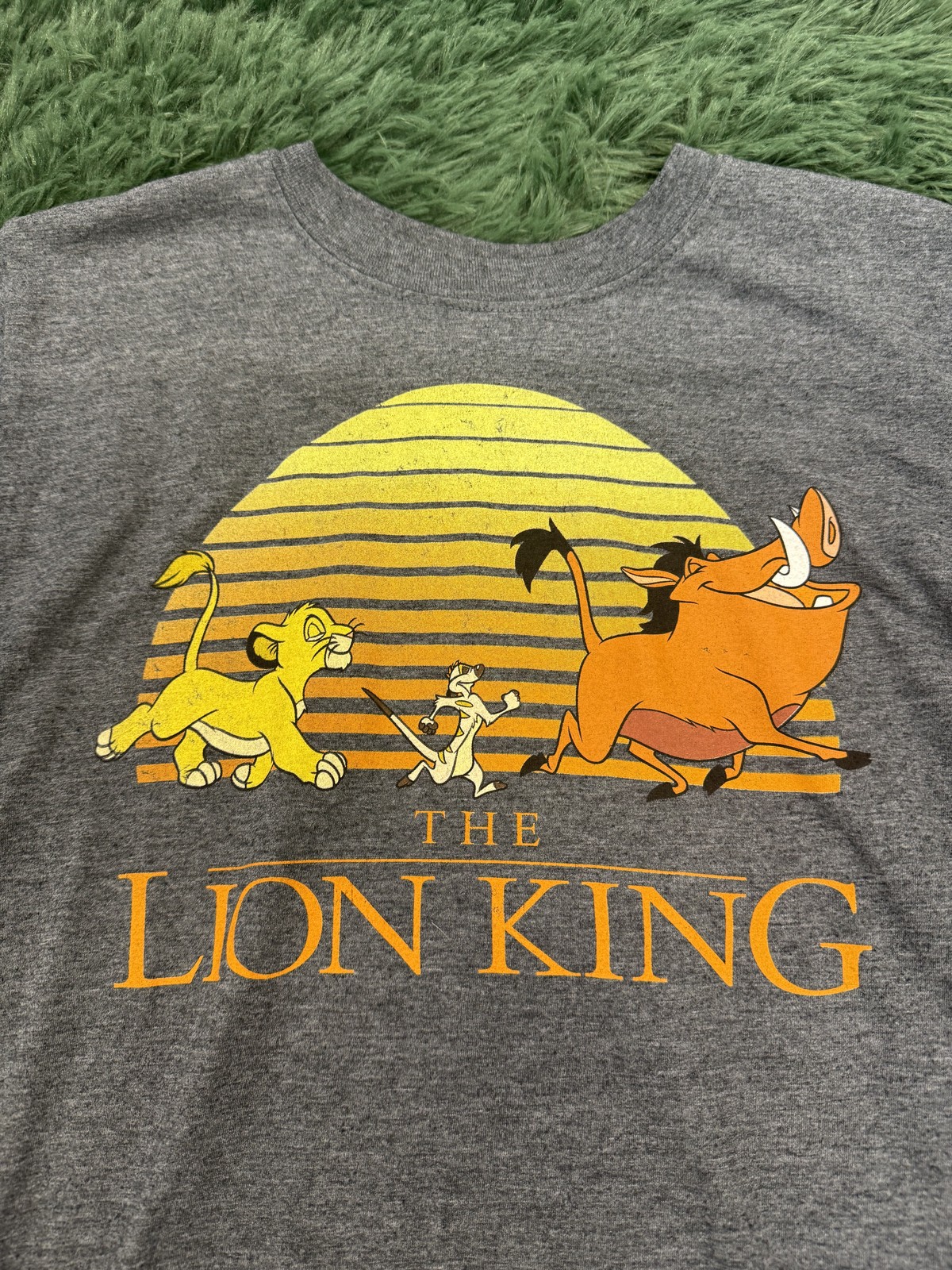 Disney The Lion King Simba Timon Pumbaa Sunset Graphic T-Shirt Men’s Size M Gray