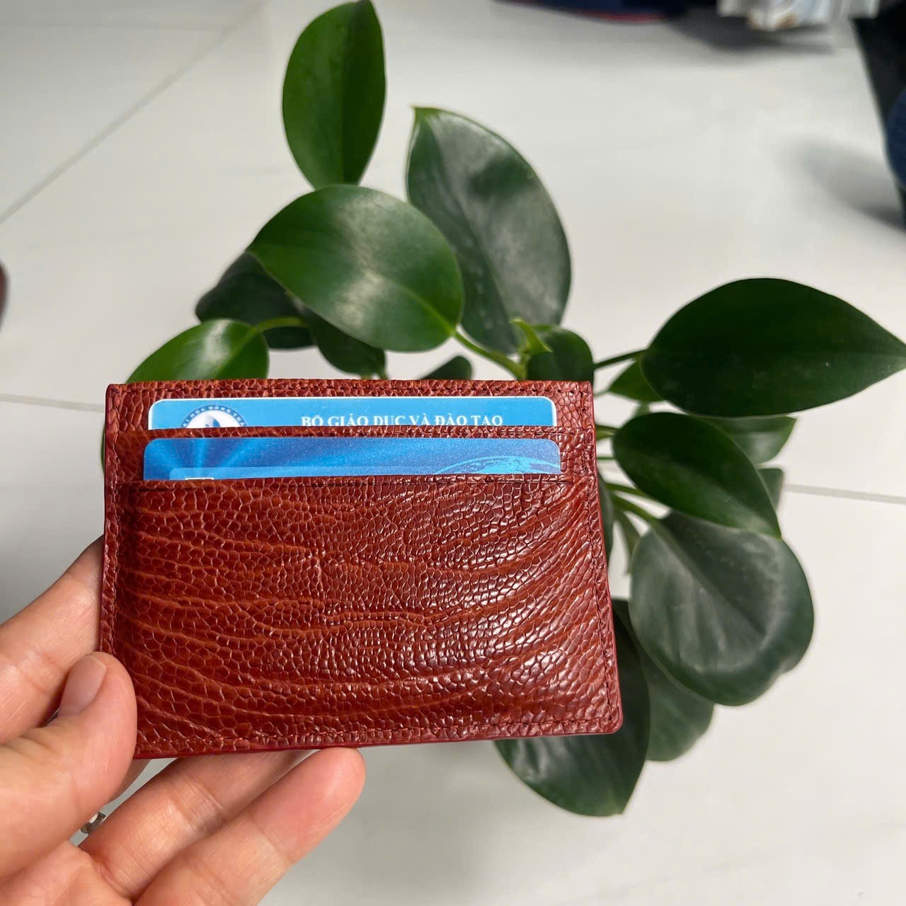 BrownGENUINE OSTRICH LEATHER SKIN CREDIT CARD HOLDER/ WALLET CARD HOLDER FOR MEN