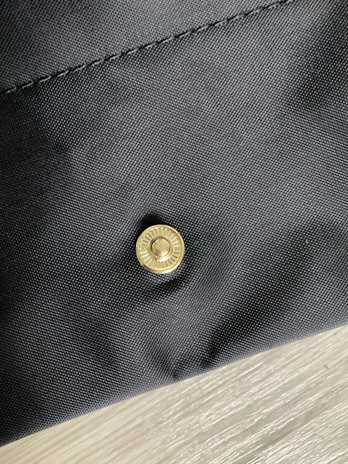 Longchamp Bag