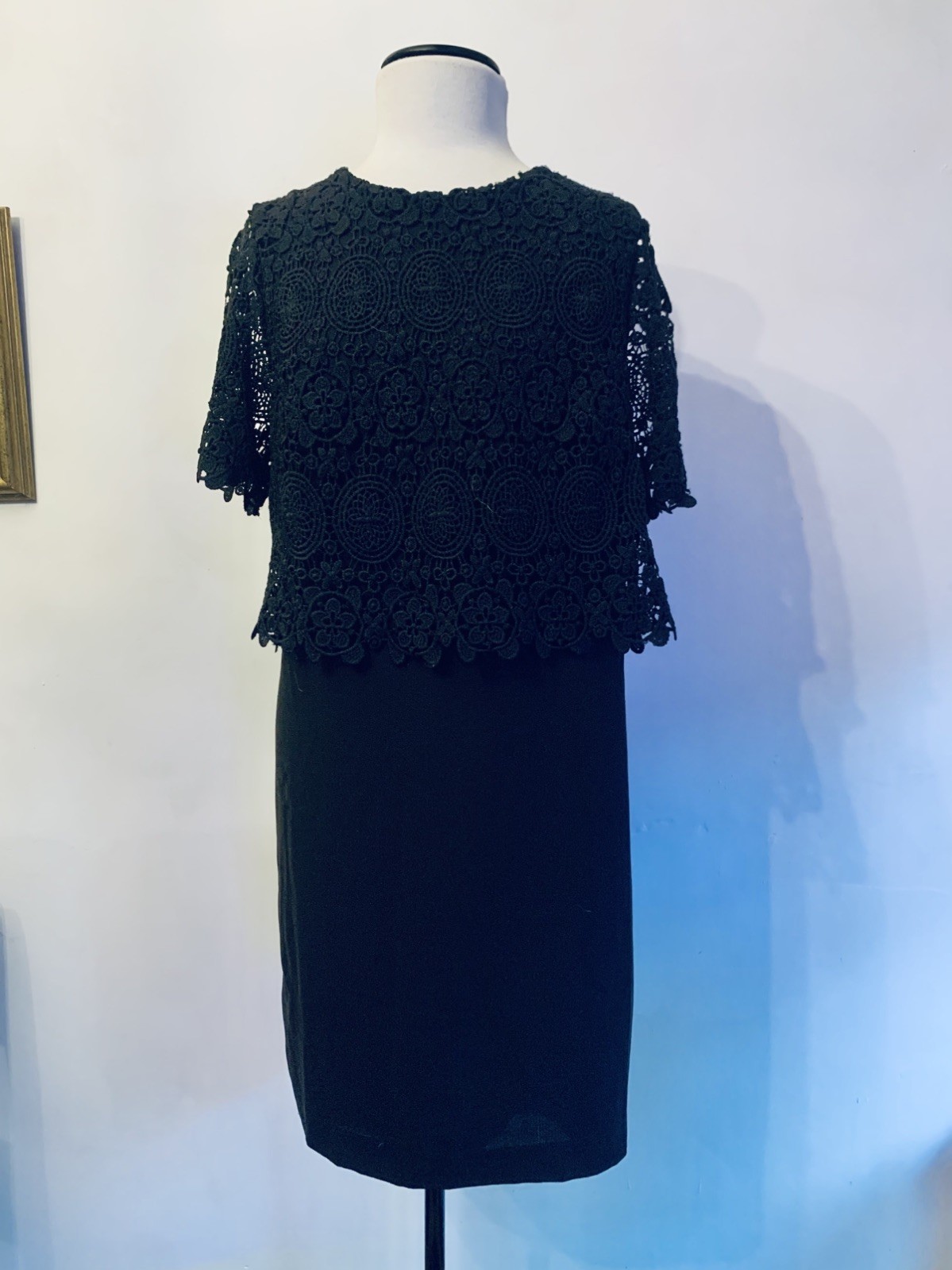 FENN WRIGHT MANSON, Formal Cruise-Lace Overlay Bodice-Sheath Dress. Size 14