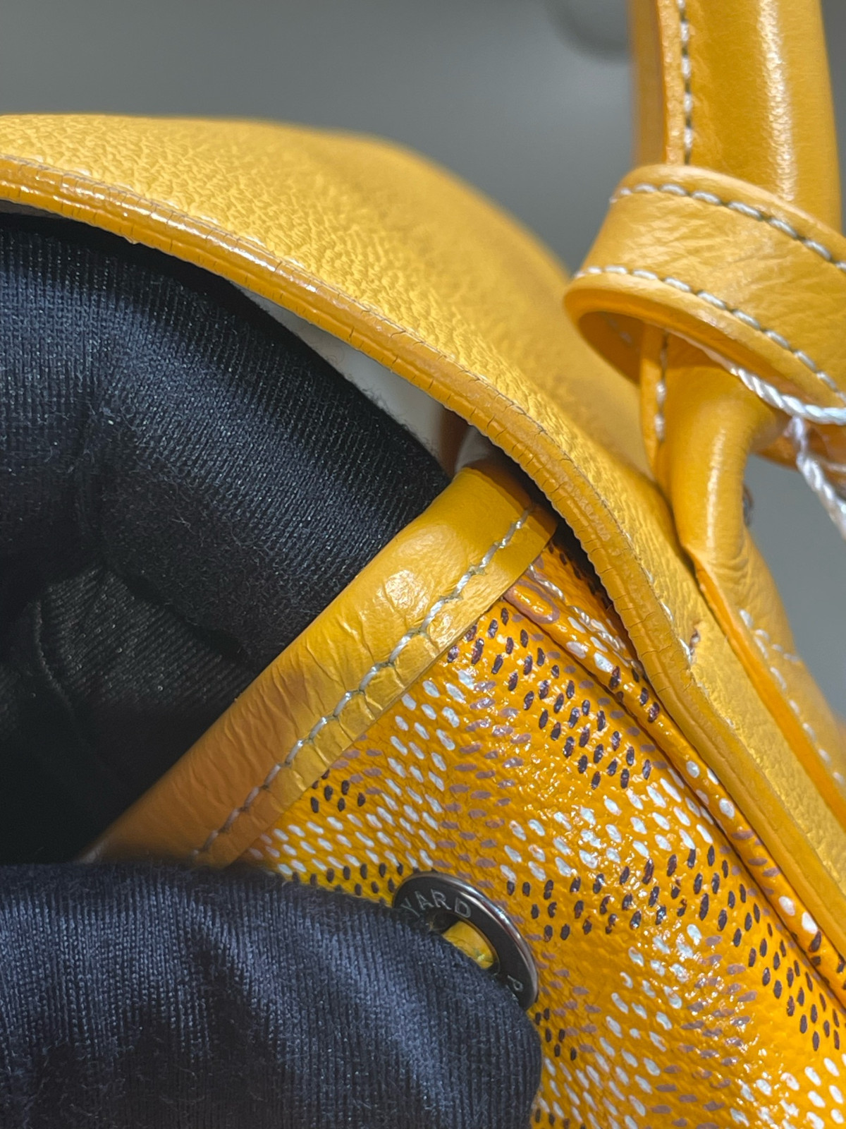Goyard Alpin Mini Canvas Backpack（ 23×9.5×19 ）cm