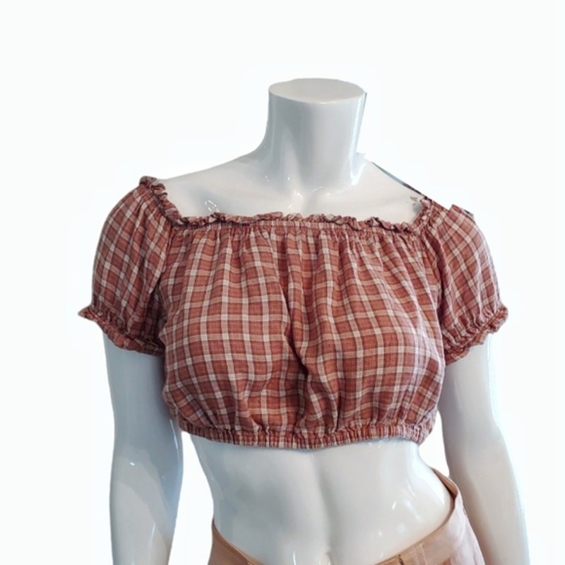 AMERICAN EAGLE Plaid Elasticized Crop Top Size M Cottage Core Country Festival