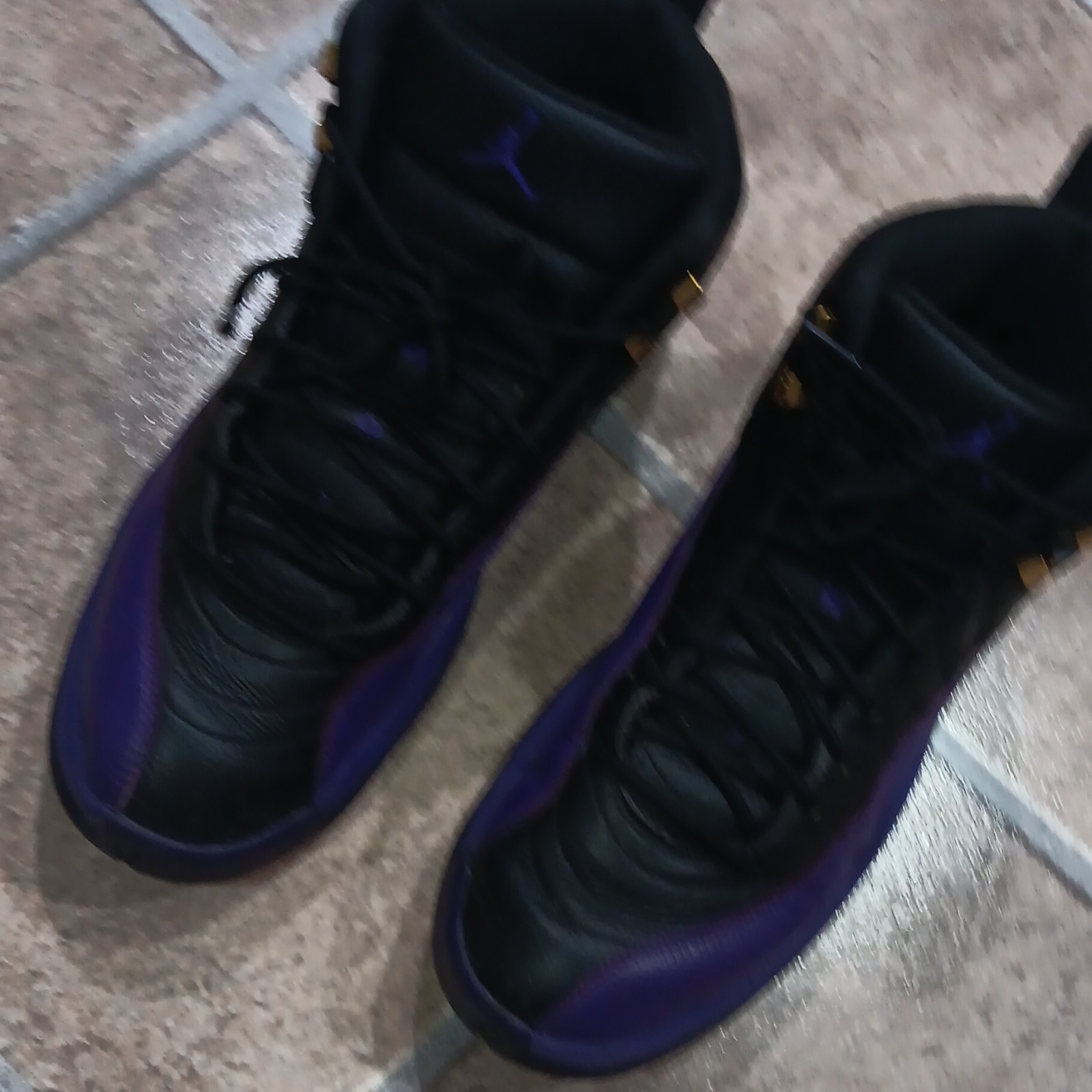 Jordan Air Jordan 12 Retro Field Purple Black/Gold 2023 CT8013-057