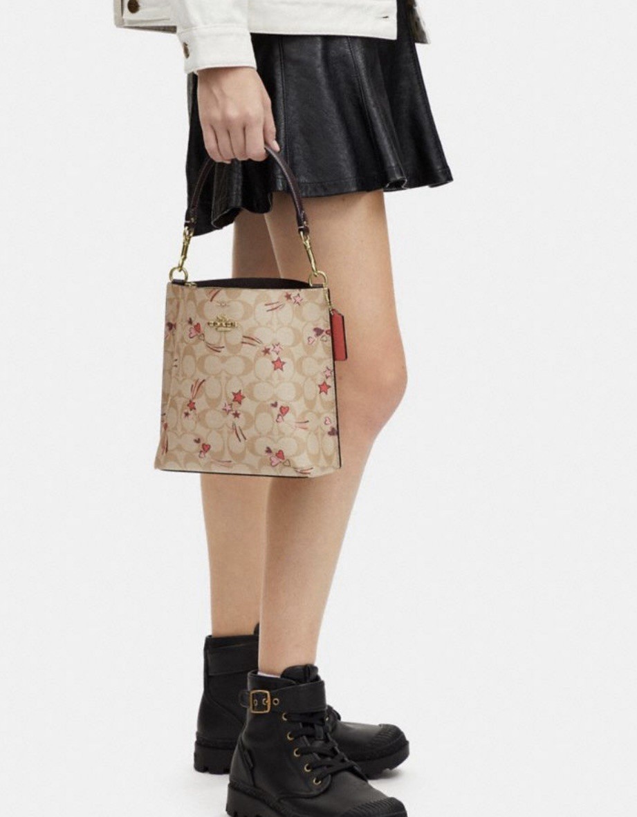 NWT 🎁 Coach Mollie Bucket Bag 22 In Signature Canvas With Heart Shooting Star