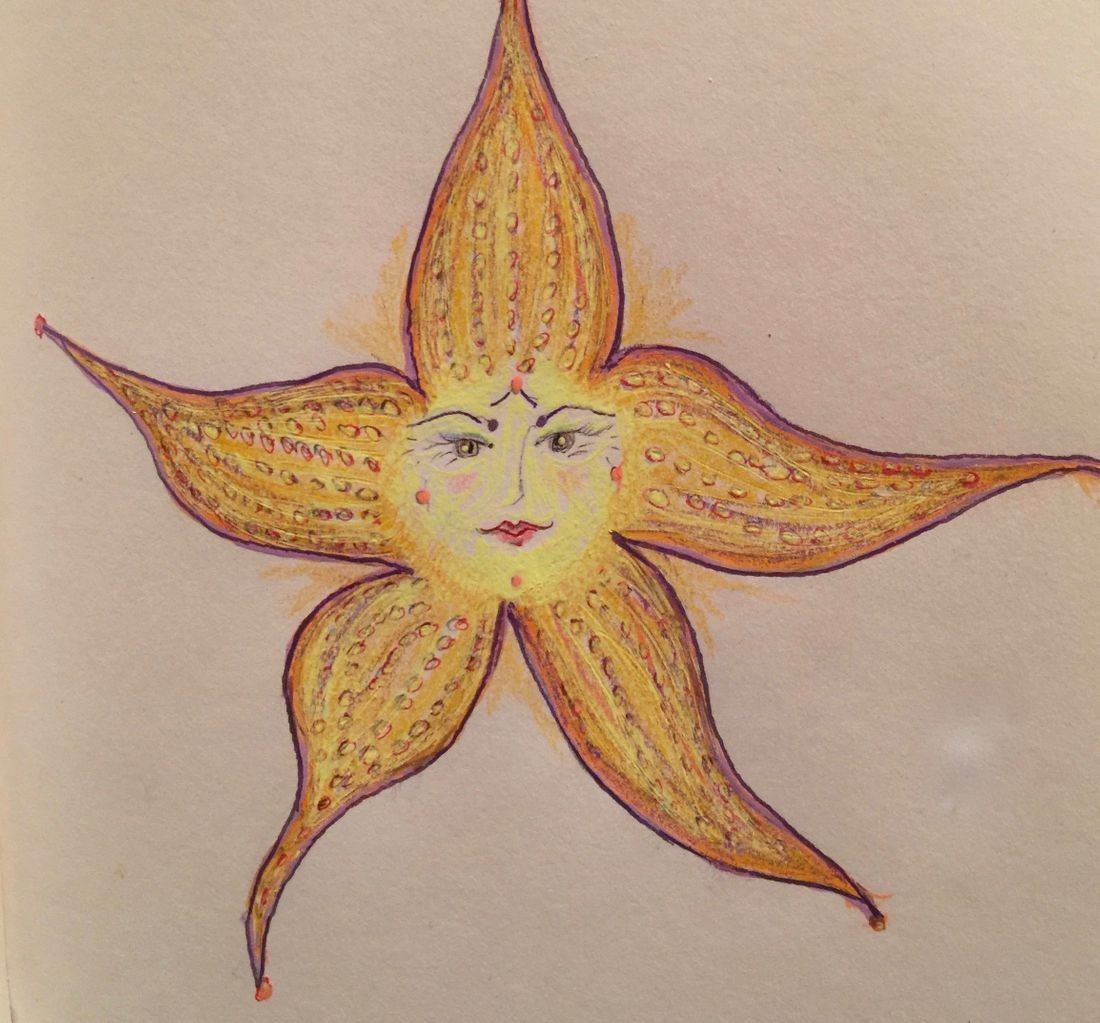 Starfish and Coffee T-Shirt with Susannah Melvoin Signature – Official Store