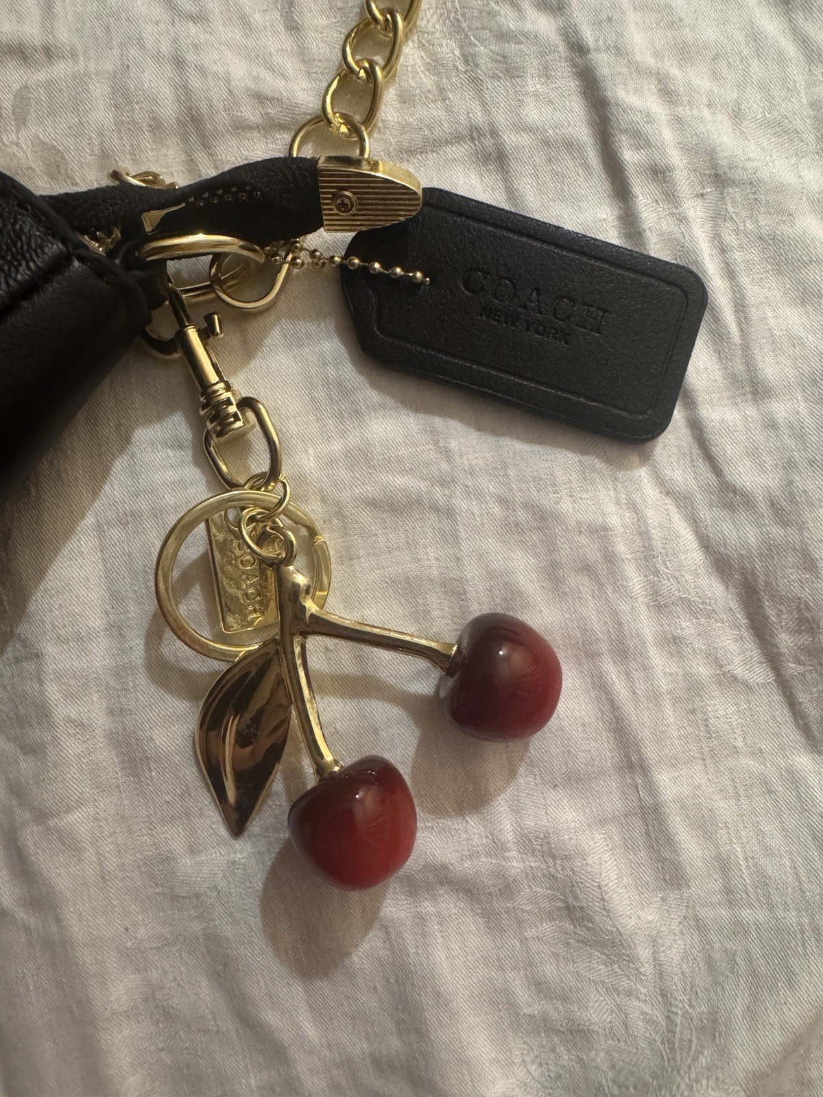 Coach Teri Shoulder Bag