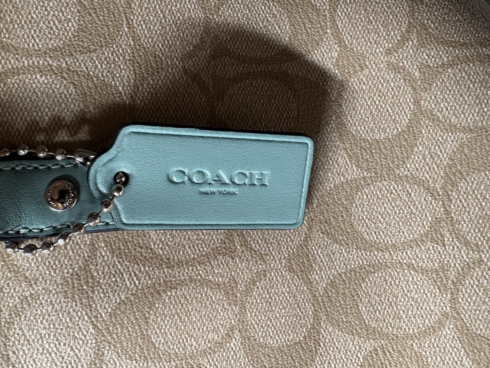 Coach Women’s Signature City Tote In Khaki Teal
