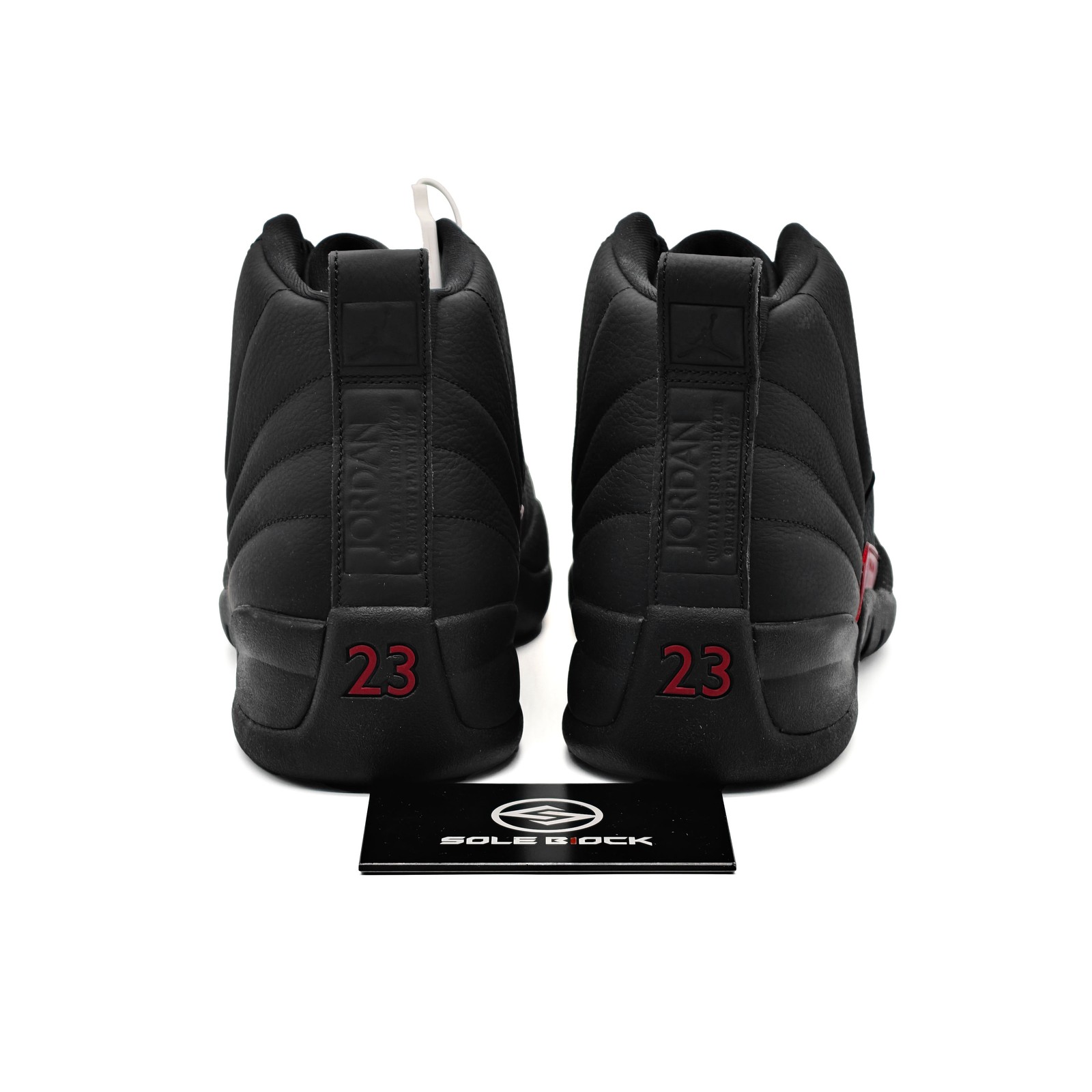 Nike Air Jordan 12 Retro Bloodline CT8013-003