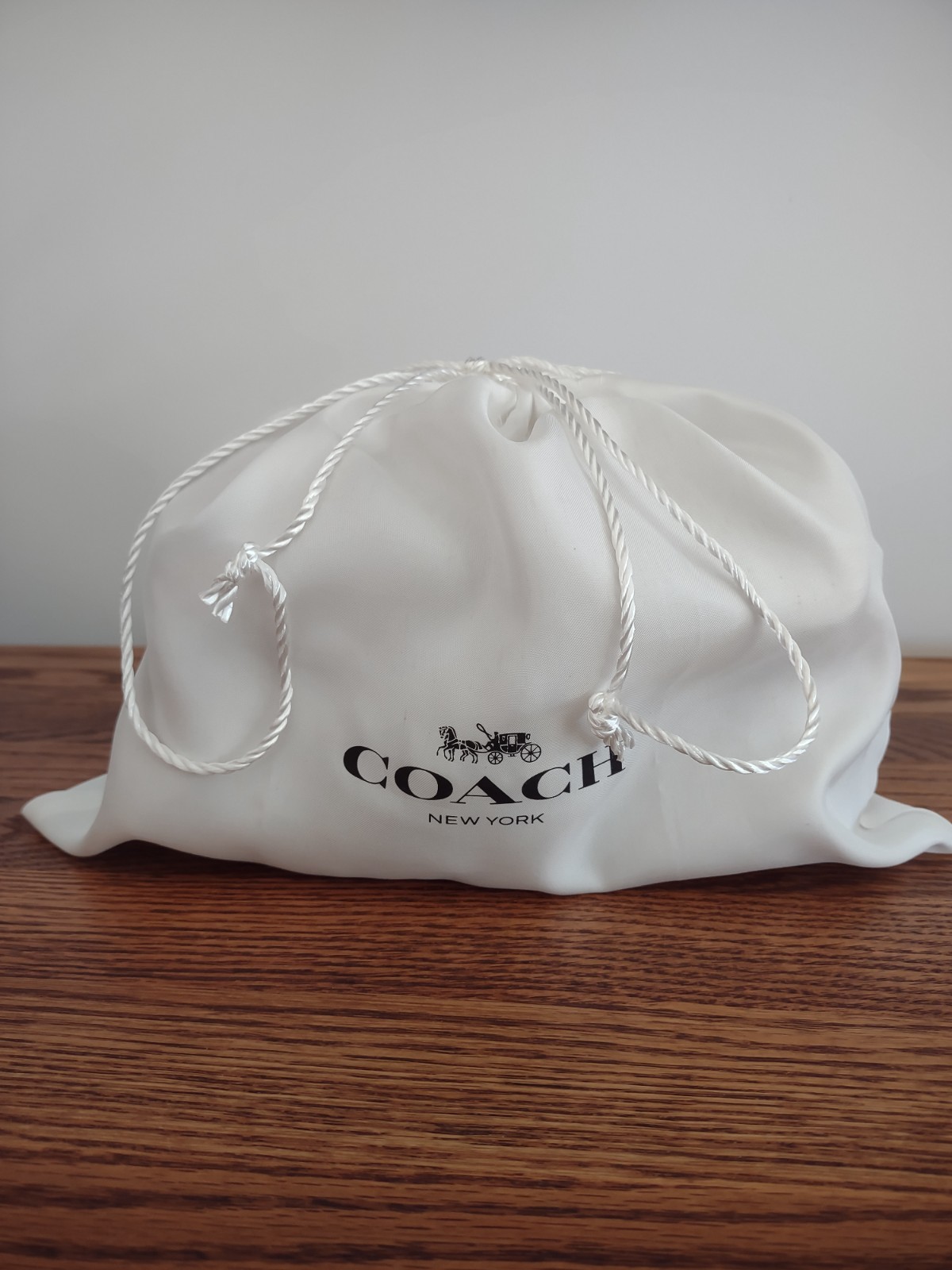 ❤️ NWT Coach Pillow Tabby 18 Mini Brass/Ivory C3880 Shoulder Bag