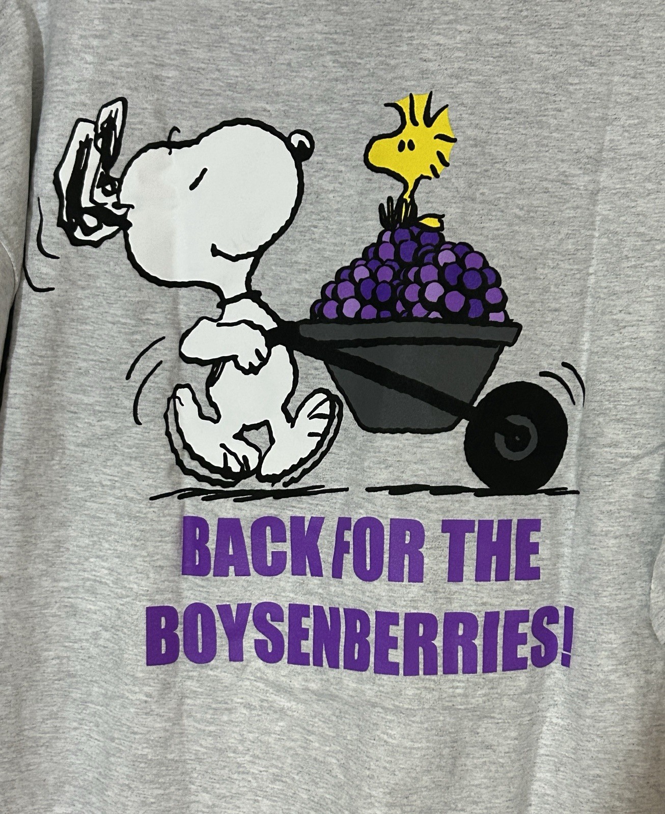 Knott’s Berry Farm 2022 Boysenberry Festival Snoopy & Woodstock T-Shirt 2XL NEW
