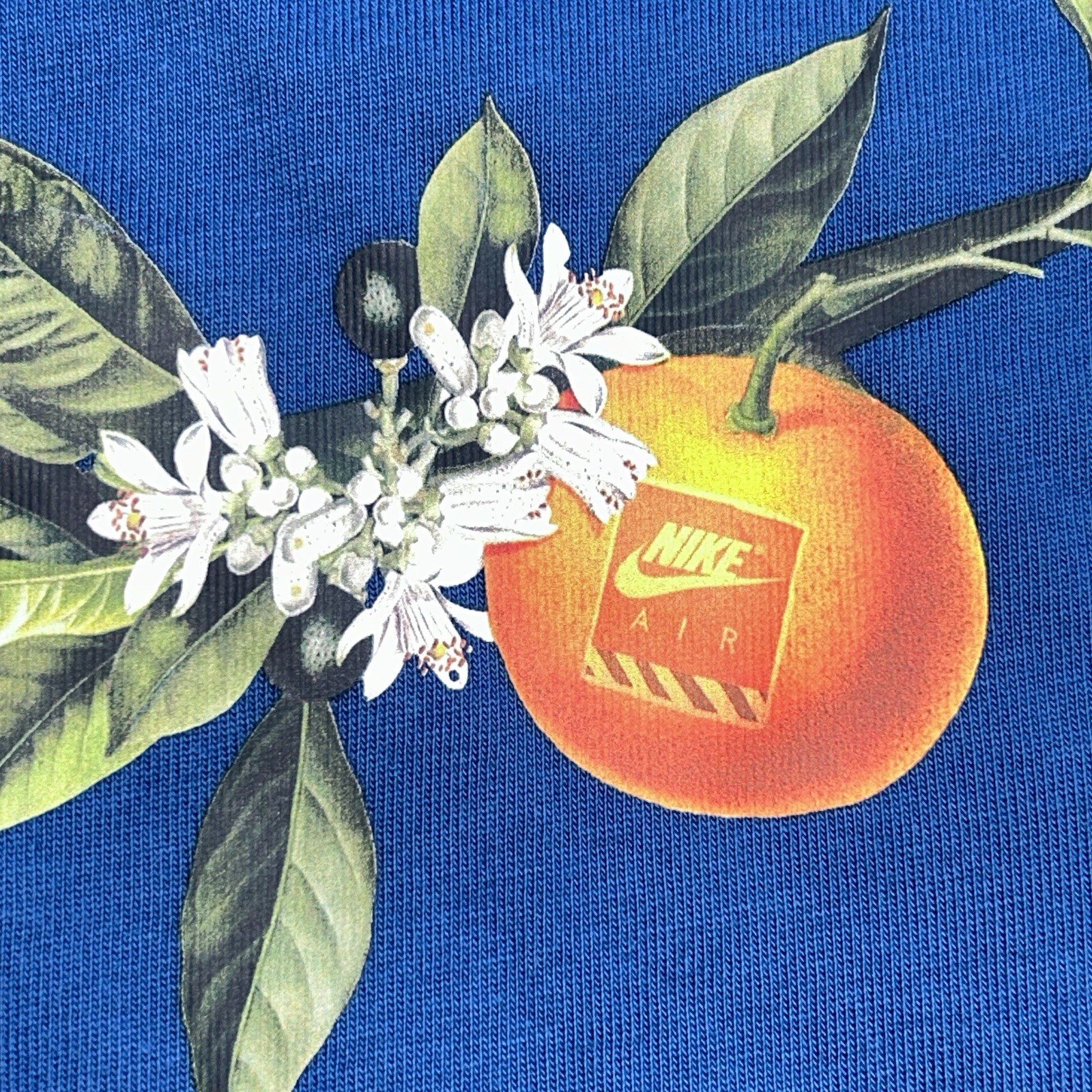 Nike Sportswear Air Graphic Tee Medium Blue Loose Fit Floral NWT
