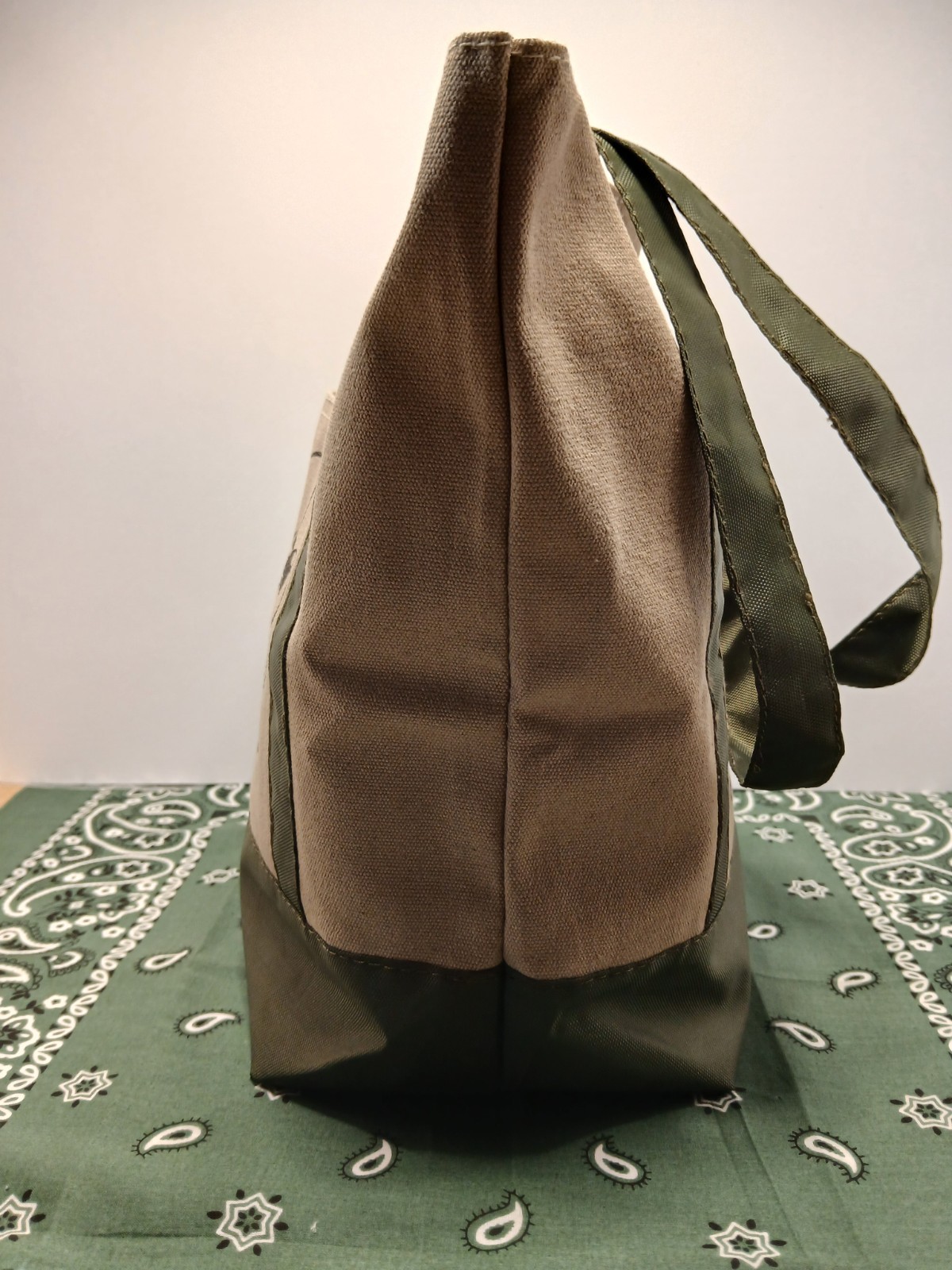 Buc-ee’s Mini Tote Bag New 13×12 Market Bag Small Reusable ~ Canvas & Green Tote