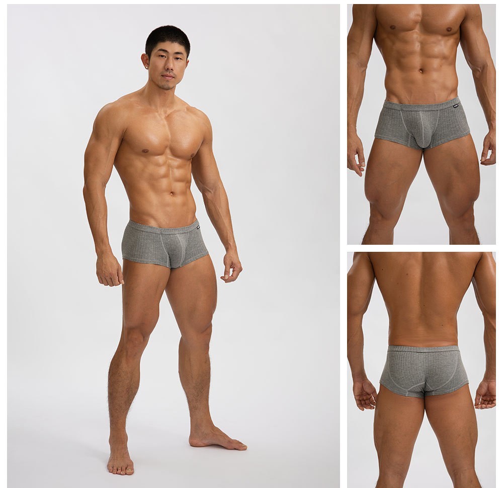 4 PCS Men’s Sexy Underwear Low waist Briefs U Pouch Striped Shorts Underpants US