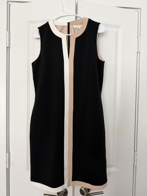 Preston York Fallon Color Block Split V-Neck Sleeveless Pocket Shift Dress New 8