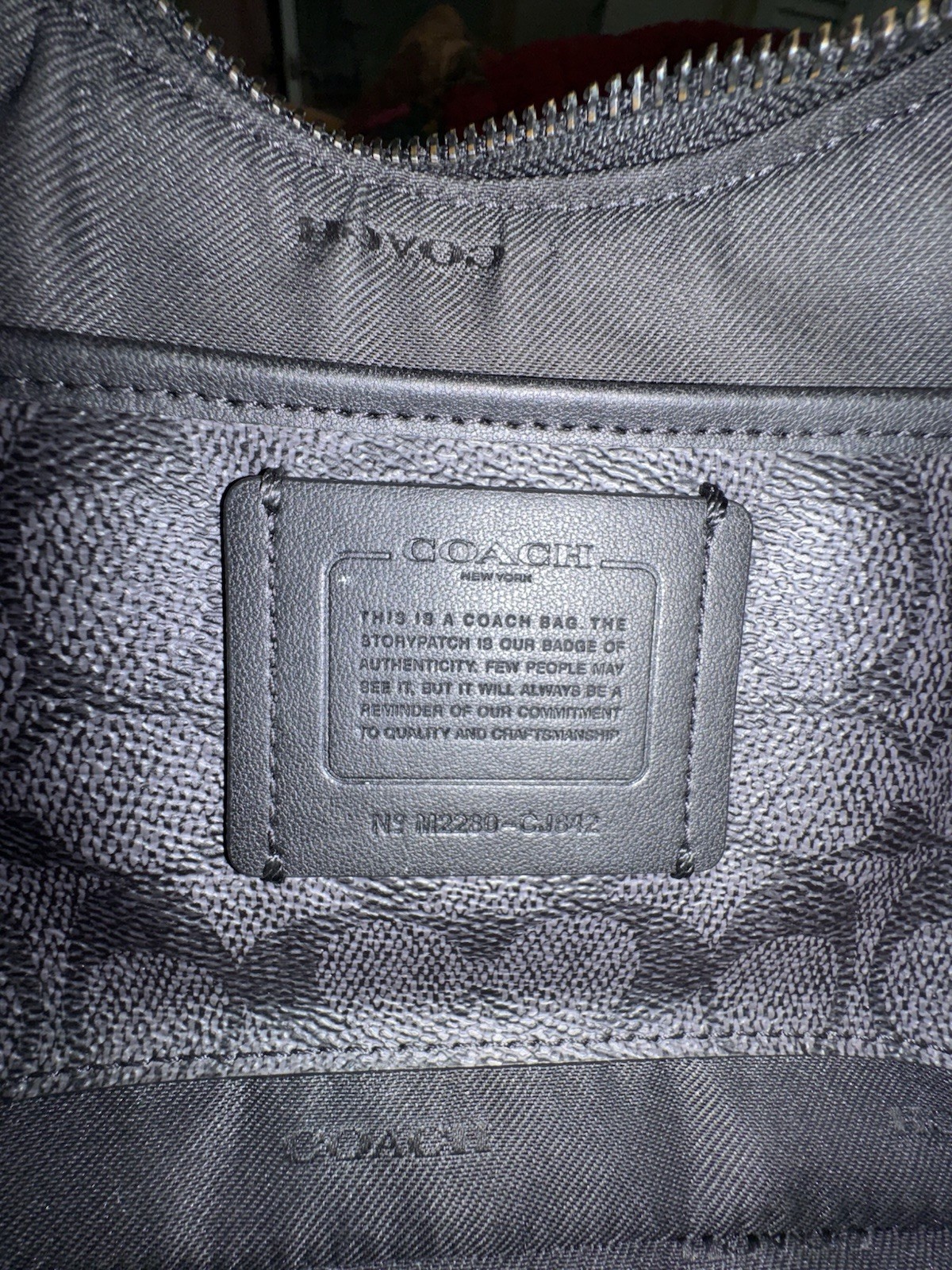 Coach Hobo Shoulder Bag w/ Detachable Straps & Dust Bag
