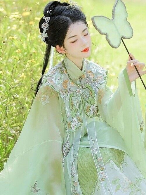 Chinese Hanfu Ming Dynasty Cloud Shoulder Stand Collar Long Shirt Pleated Dress