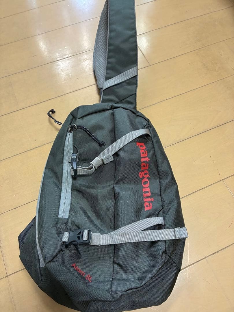 Patagonia Atom 8L Body Bag Lightweight Pouch