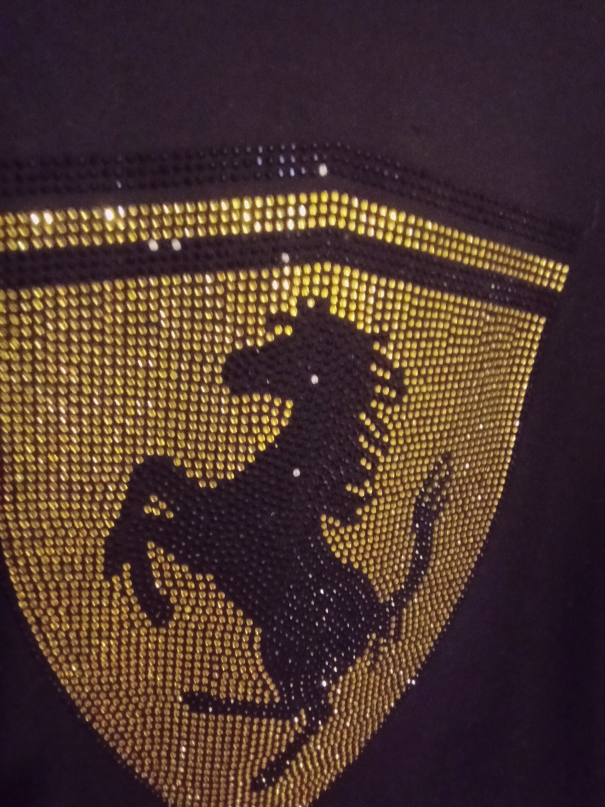 Men’s Hudson Ferrari Hoodie Features A Rhinestone On Front