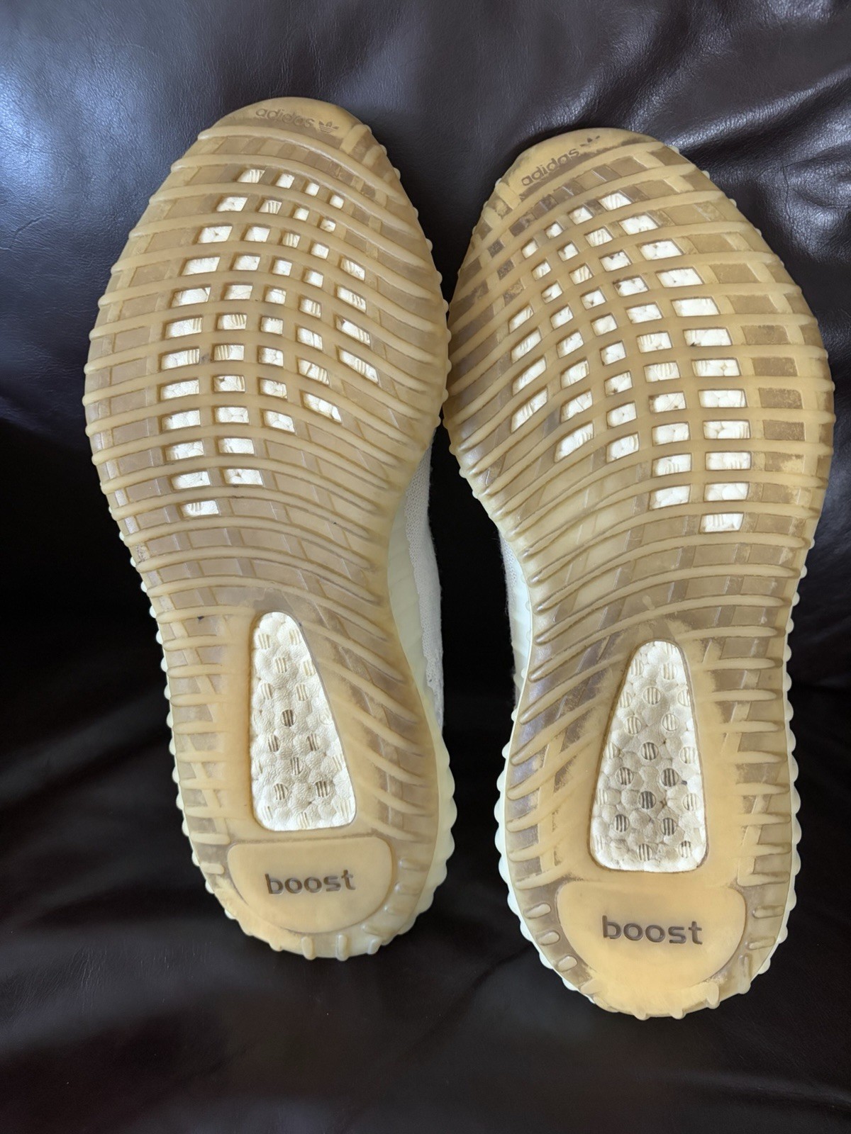 adidas Yeezy Boost 350 V2 Bone/Bone/Bone White