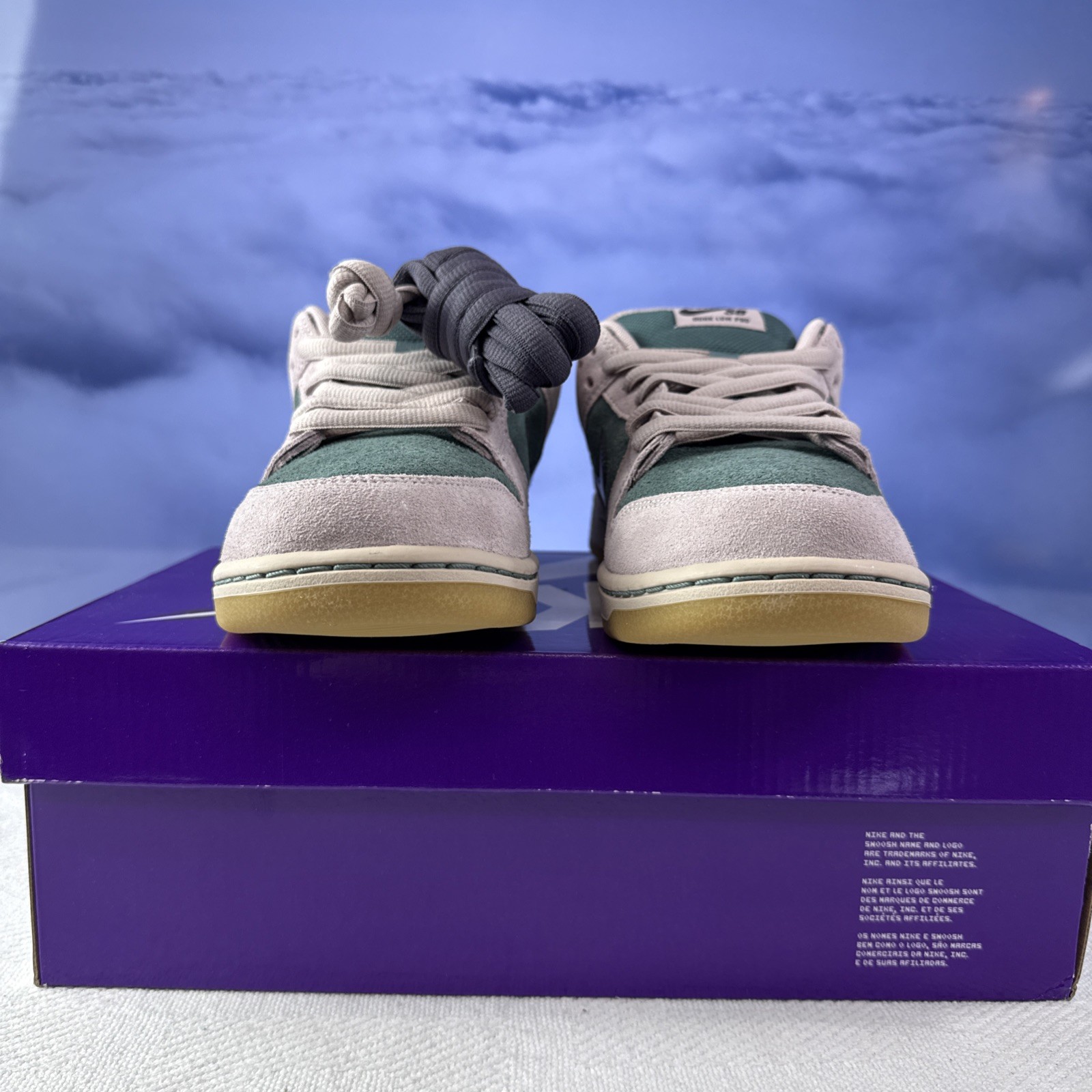Nike SB Dunk Low Pro Mineral Slate Dark Raisin – Size 8M / 9.5W (HQ1625-300)