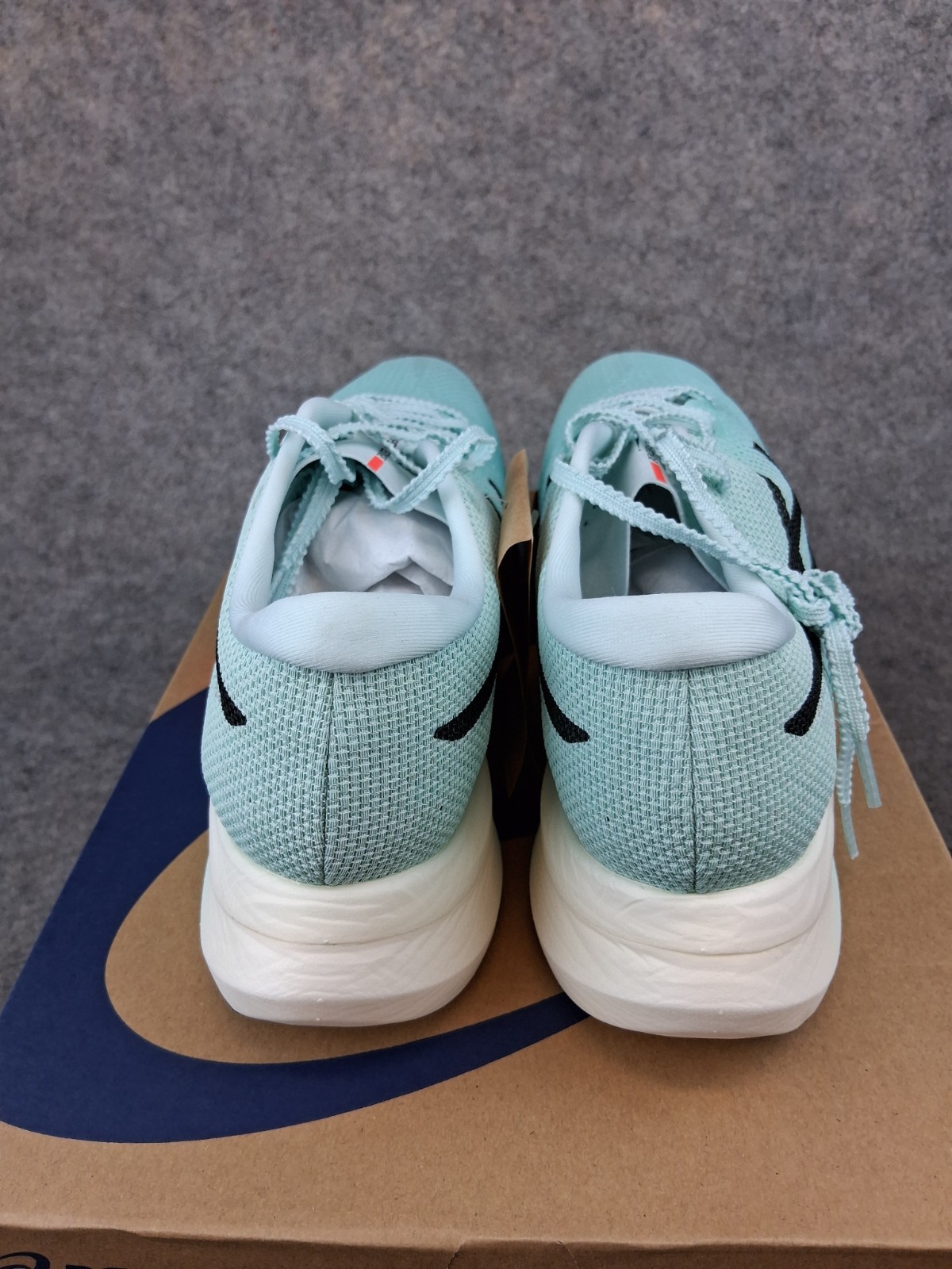 Size 11.5 – Asics Metaspeed Edge Paris Illuminate Mint/Black 1013A124-400