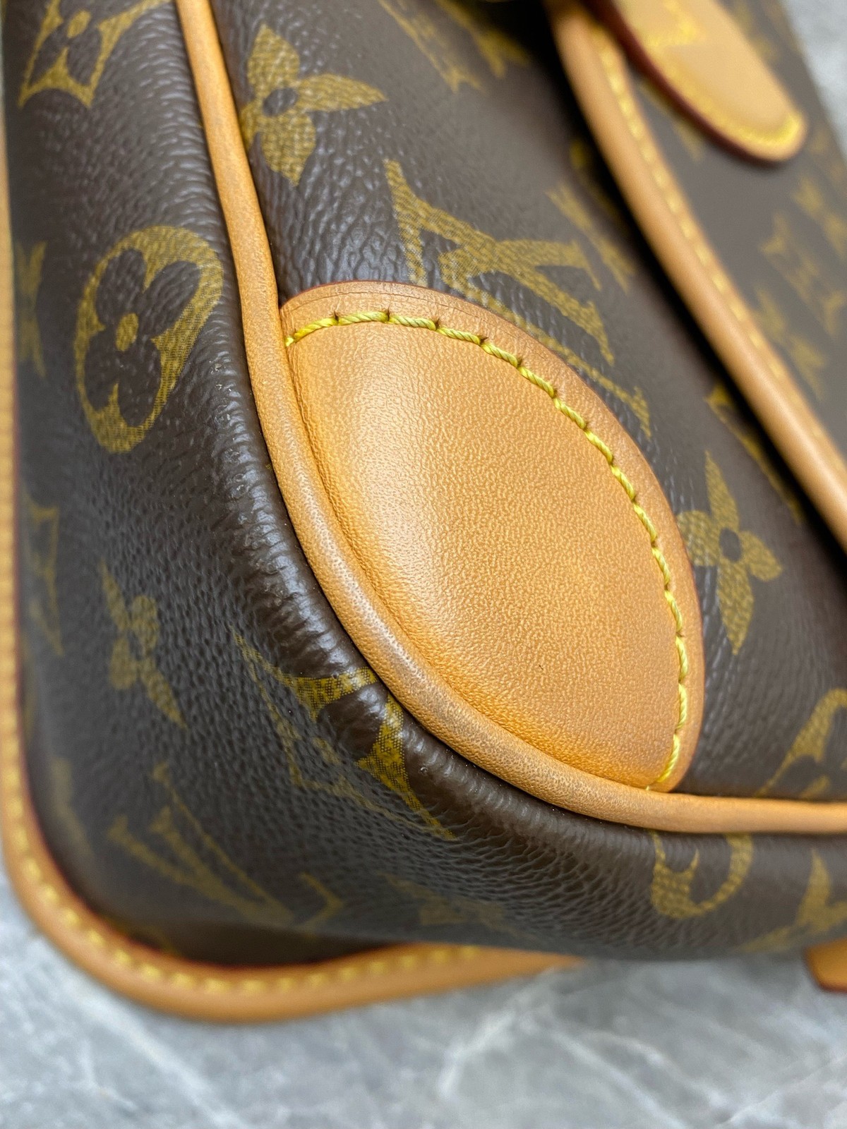 Louis Vuitton Diane presbyterian underarm baguette chip (24 × 15 × 9)cm