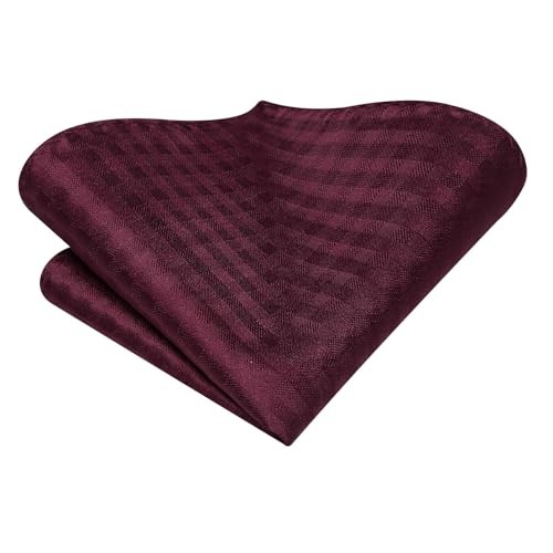 70 inches Ties for Men Silk Extra Long Necktie and Pocket Square Wine Red