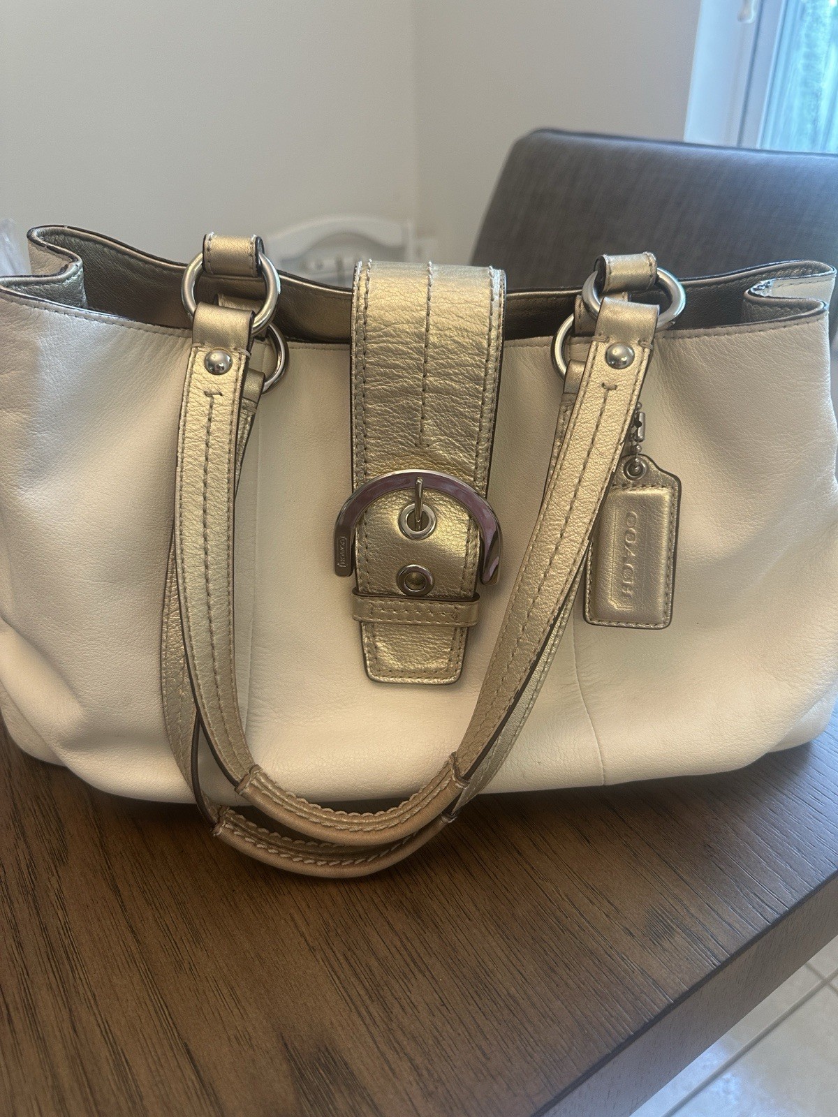 Coach Soho East/West Tote (Style F18751)