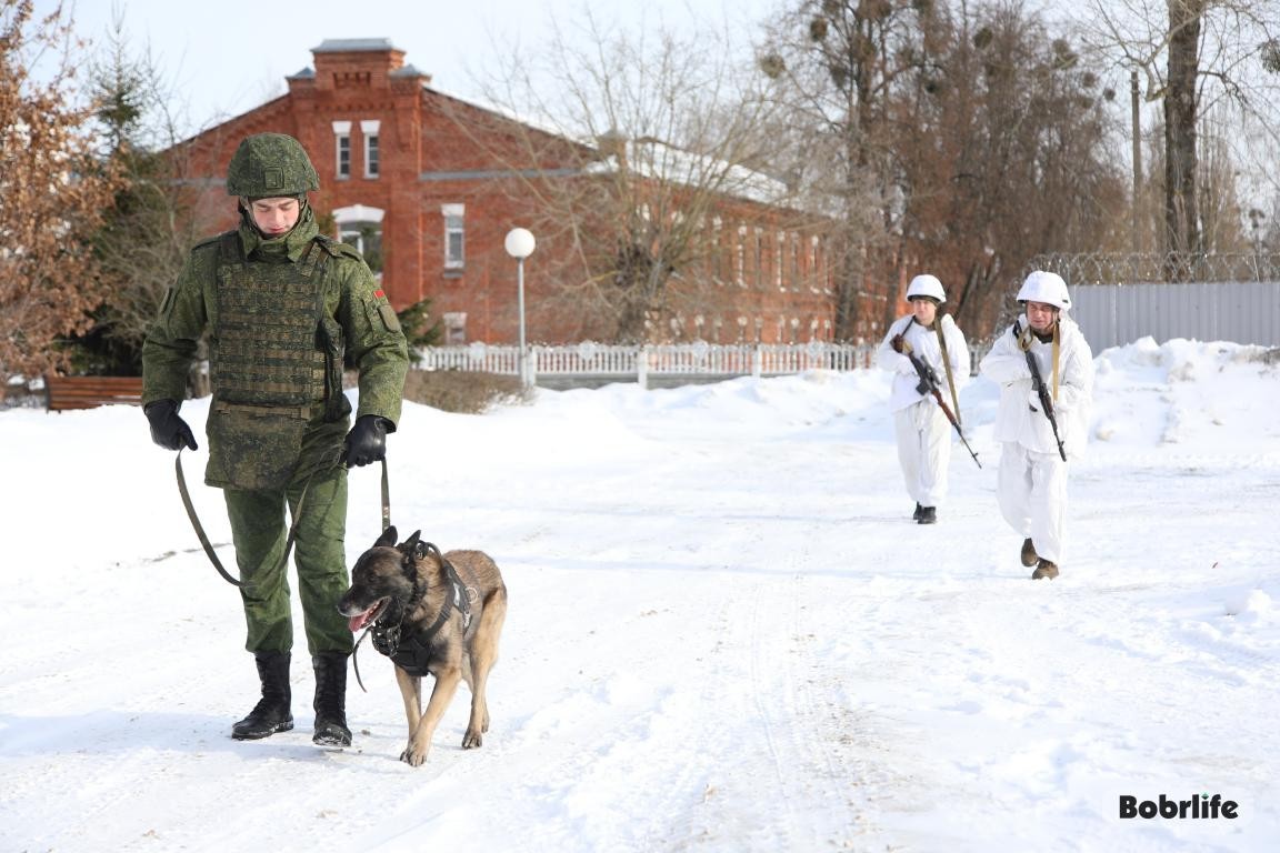 New!Original Demi-season Jacket of the Belarusian military 2024