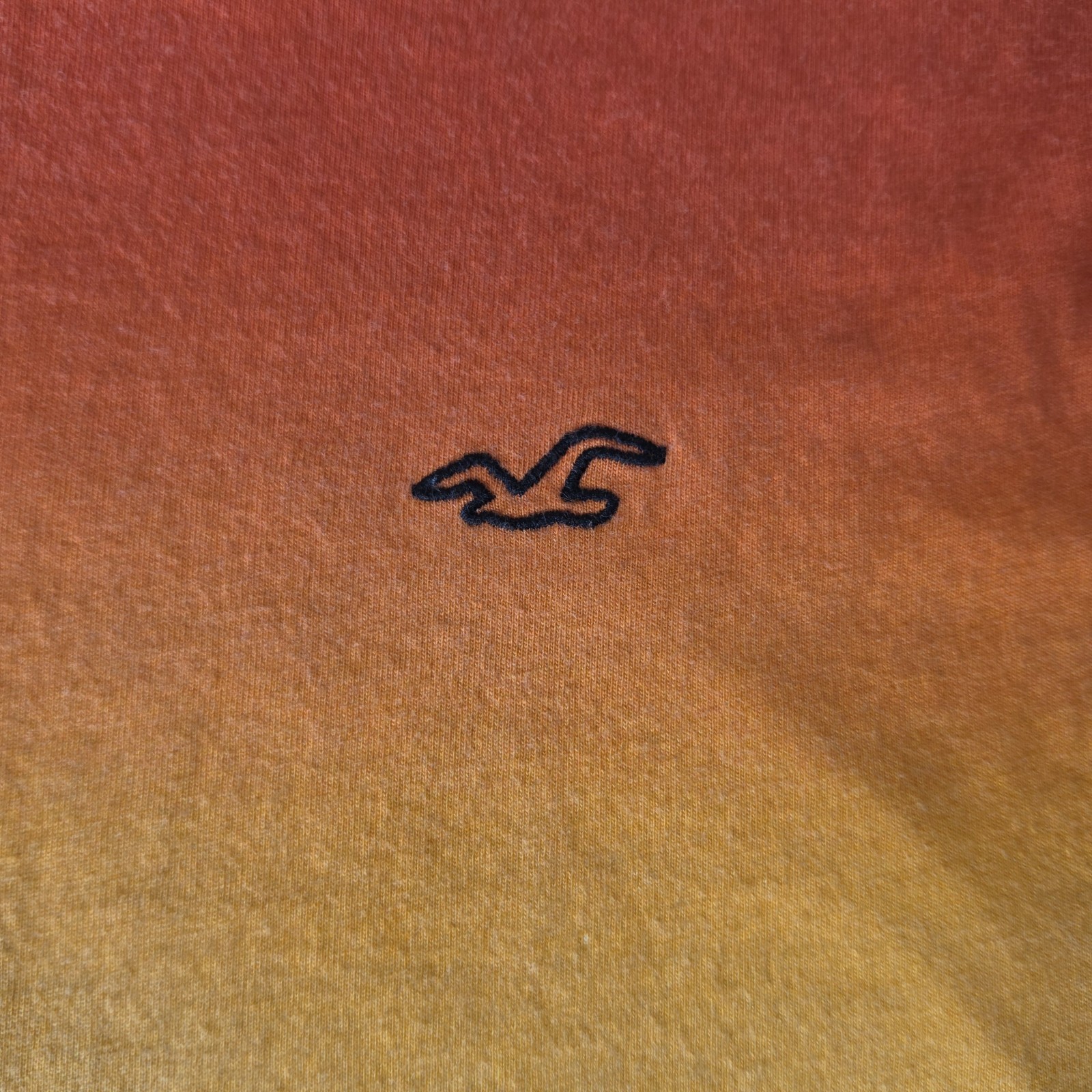 Hollister Pride Collection Rainbow Logo 100% Cotton T-Shirt Size L
