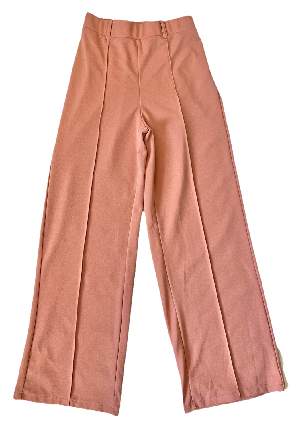 Ambiance Pants Small Bottoms Salmon Casual Business Women Clothing