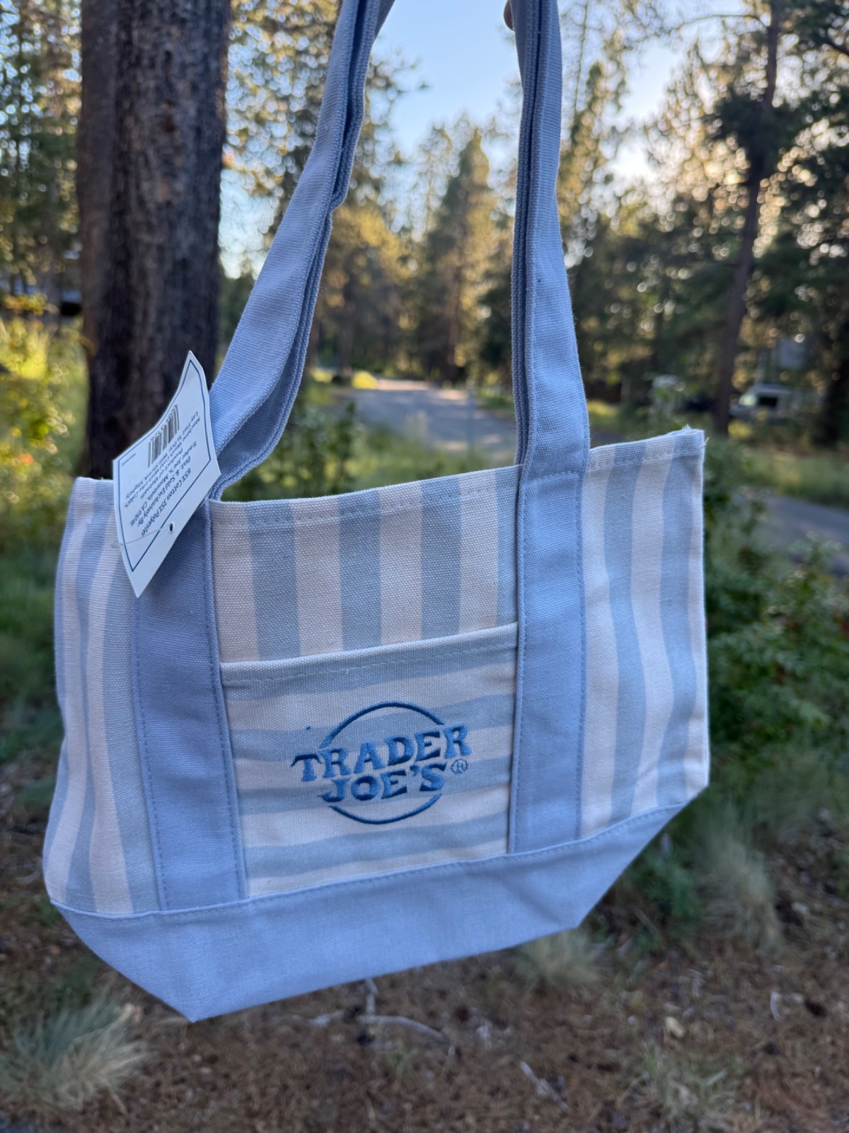 Trader Joes striped mini tote bag