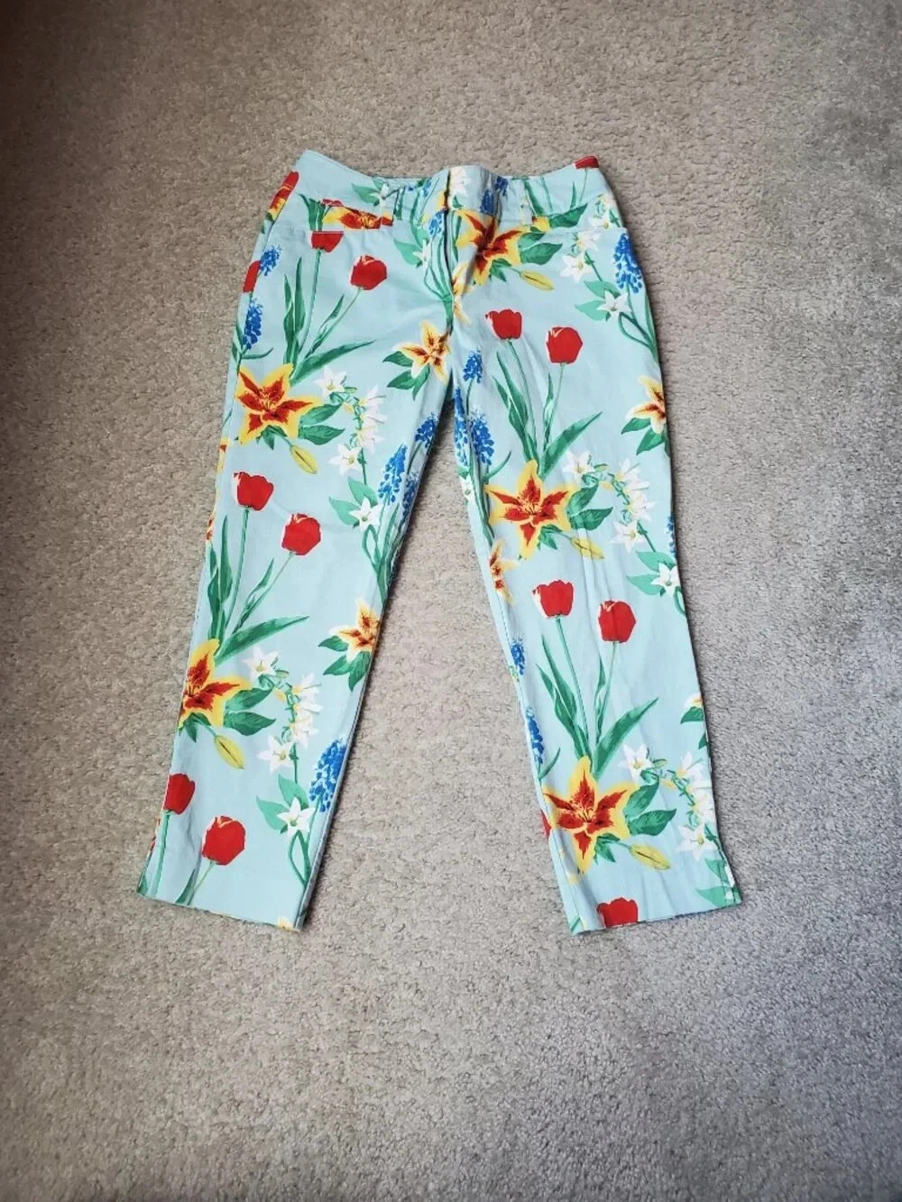 Clothing: New York & Company (7th Avene Design Studio) NWOT
