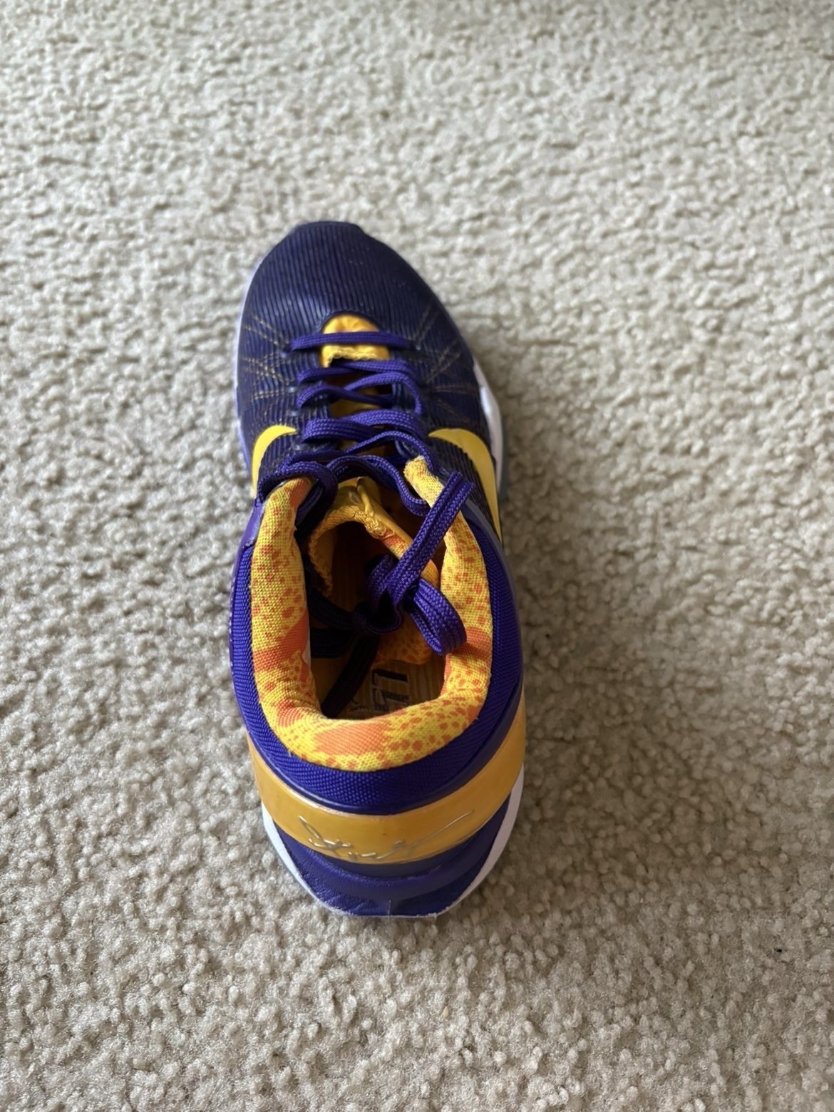 Nike Men’s Basketball Low Top Lace-Up Sneakers Purple/Yellow Colorblock Rubber
